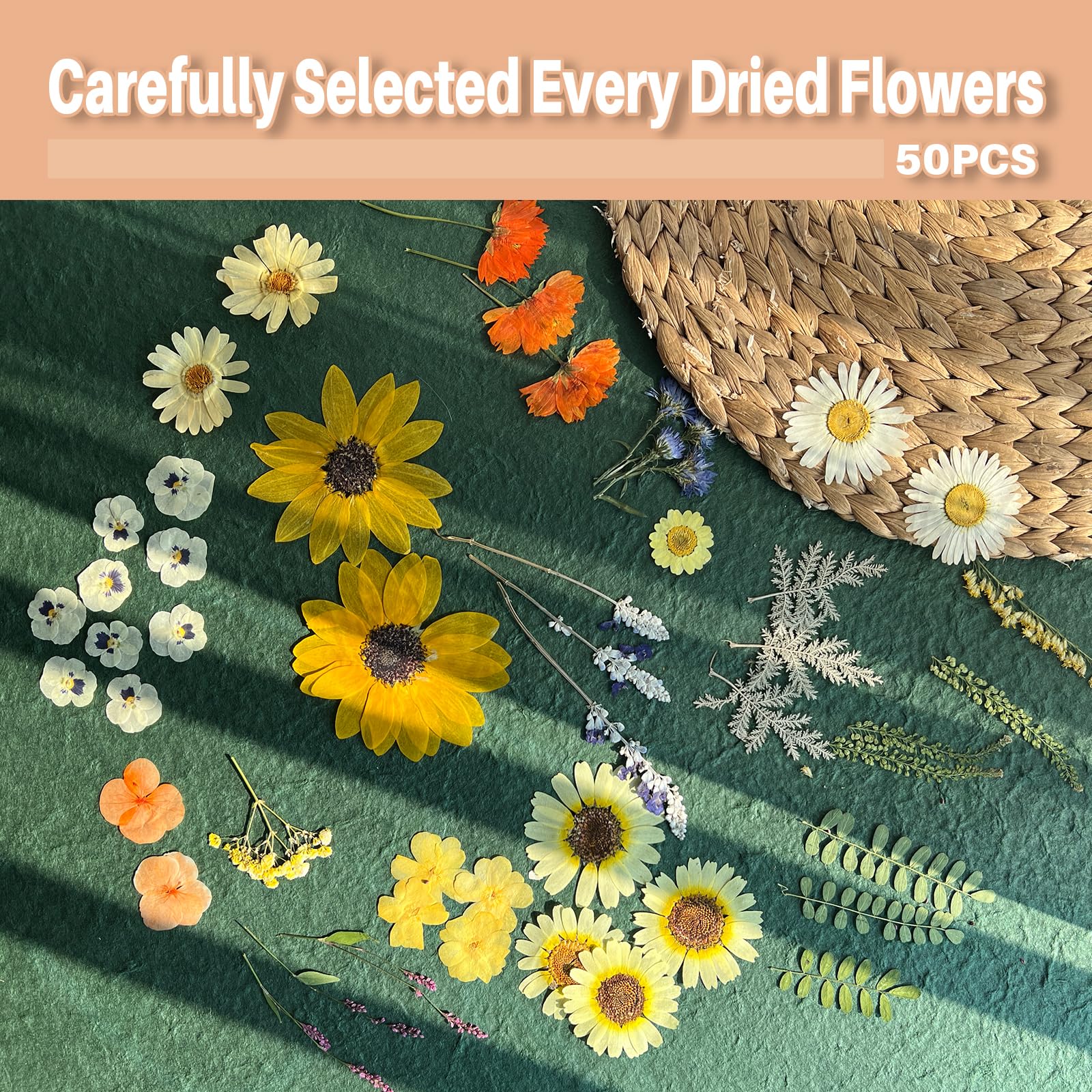 Große getrocknete gepresste Blumen für Harz, A4, Sonnenblume, echte trockene natürliche Blumen und Blätter für Harzformen, Kuchen, Kerzenherstellung, Handyhüllen, Scrapbooking, DIY