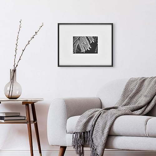 Vista 123 de MCS Master & Co. Foundry Gallery - Marco metálico de pared color negro, 16 x 24 pulgadas sin paspartú