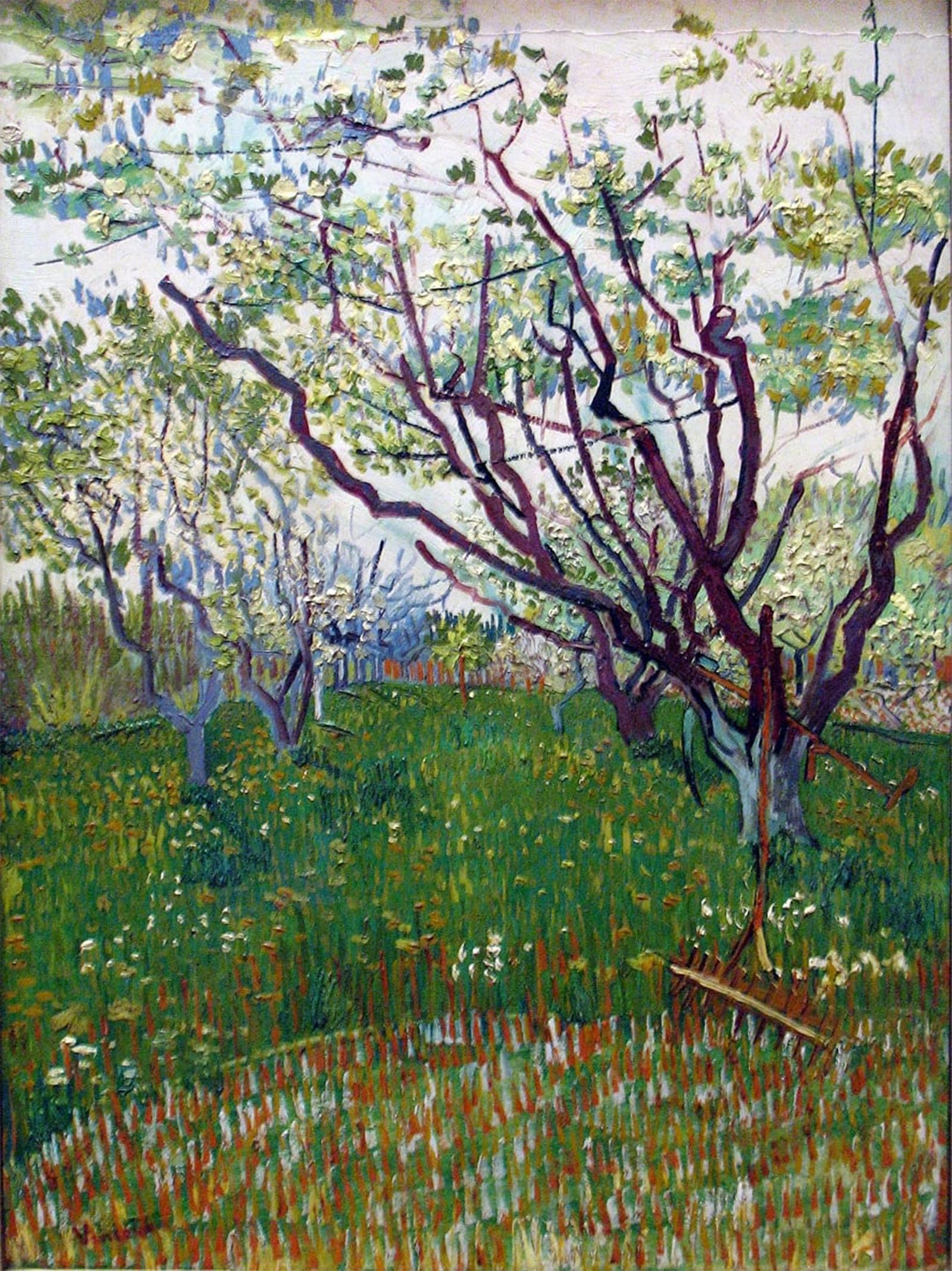 POSTERIIk Famous Modern Artwork Art Mural the Flowering Orchard Oil Paintings Pictures for Home Decor 60x90cm