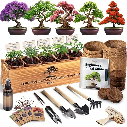 AVERGO Bonsai Tree Kit Classic - 5X Unique Japanese Bonzai Trees | Complete Indoor Bonsai Starter Kits for Growing Trees – DIY Gardening Gifts for Mother, Women & Men