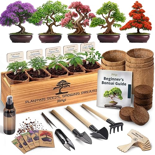 AVERGO Bonsai Tree Kit Classic - 5X Unique Japanese Bonzai