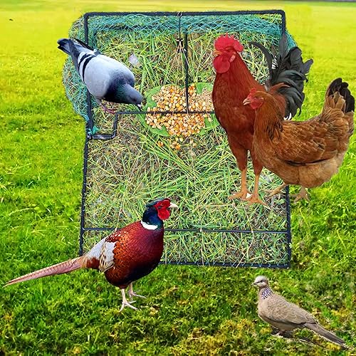 Miniatura 4 de Trampa para pájaros, jaula de codorniz de paloma, control de animales vivos, trampas de pollo estornino de primavera para atrapar