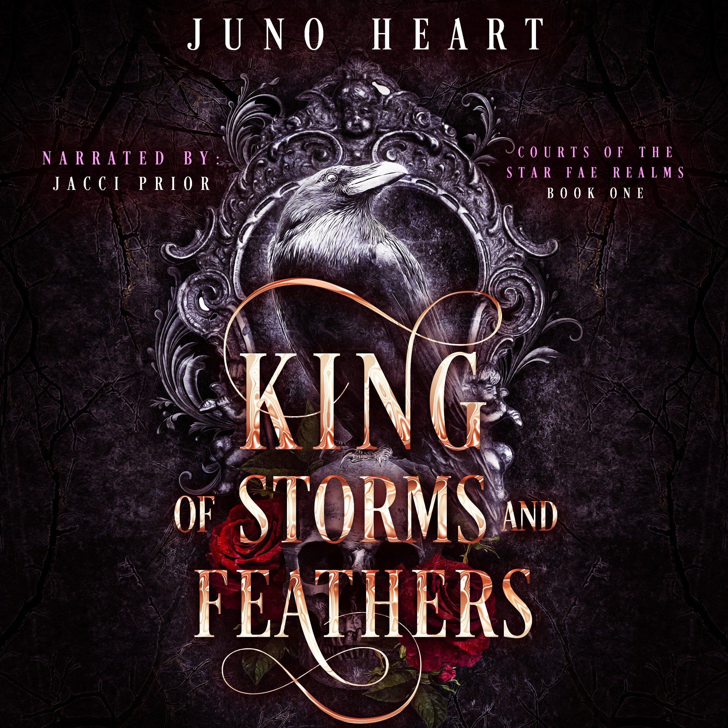 Cover art for King of Storms and Feathers