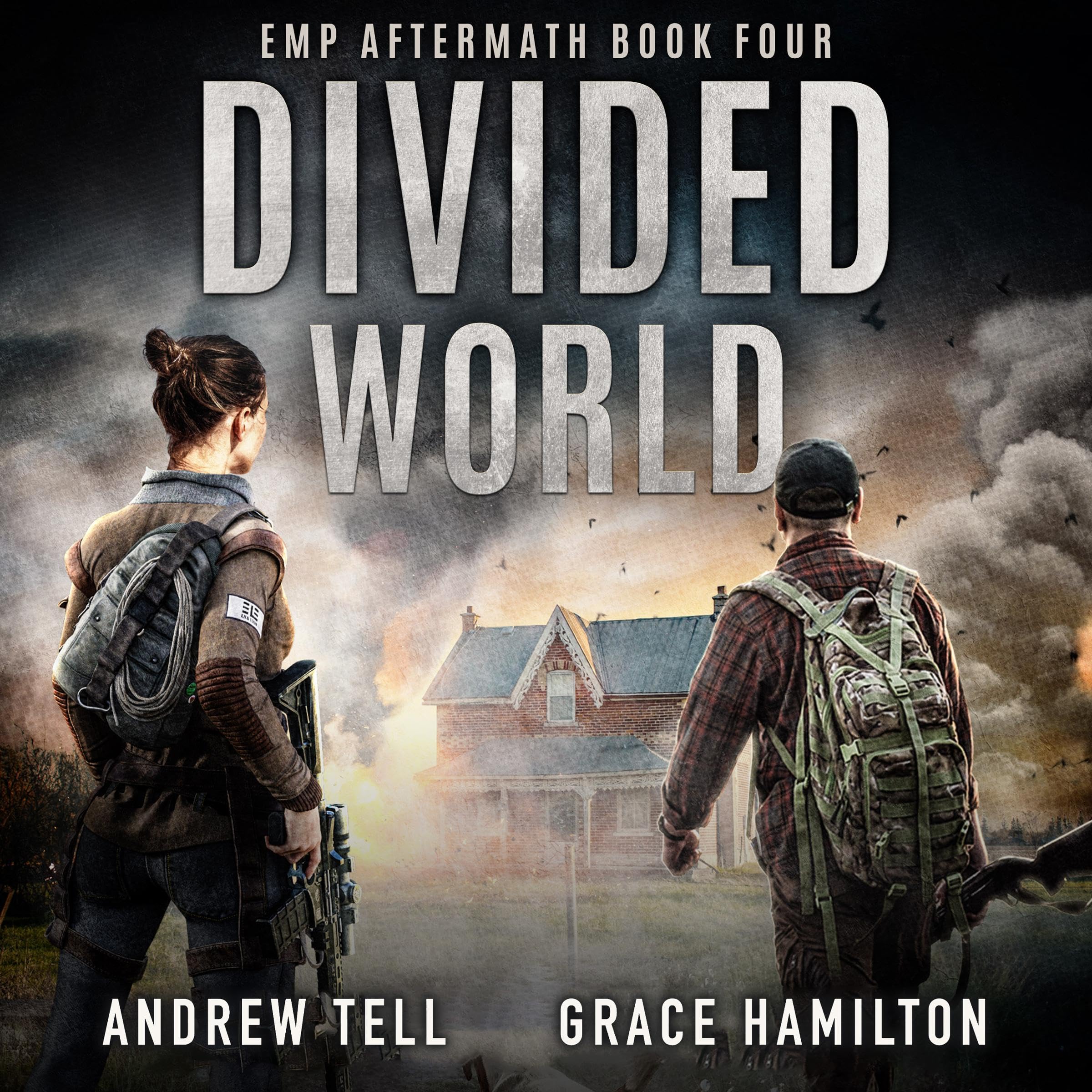 Cover art for Divided World