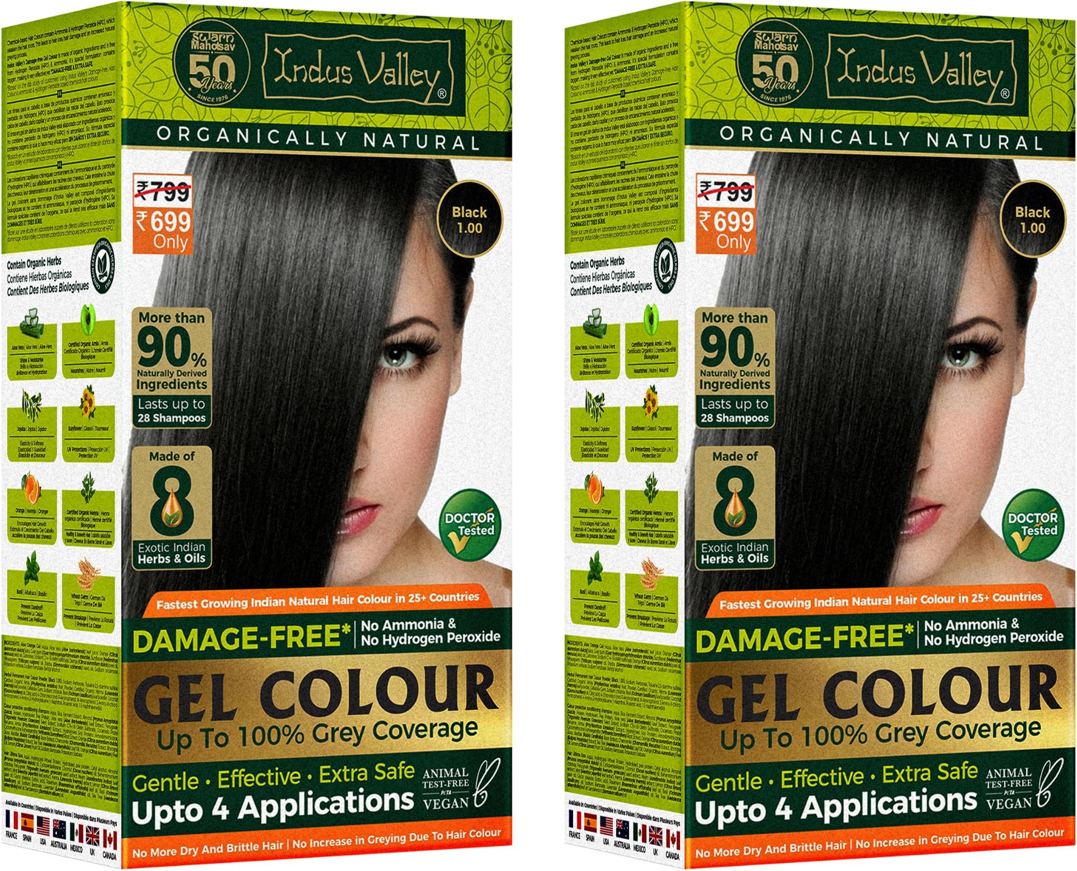 Damage Free Natural Gel Hair Colour Women | Ammonia & Ppd Free Organic Hair Colour With 100% Grey Coverage, Long Lasting Conditioning Hair Color | Black 1.00 - Pack Of 2 (2X220 = 400 Ml)
