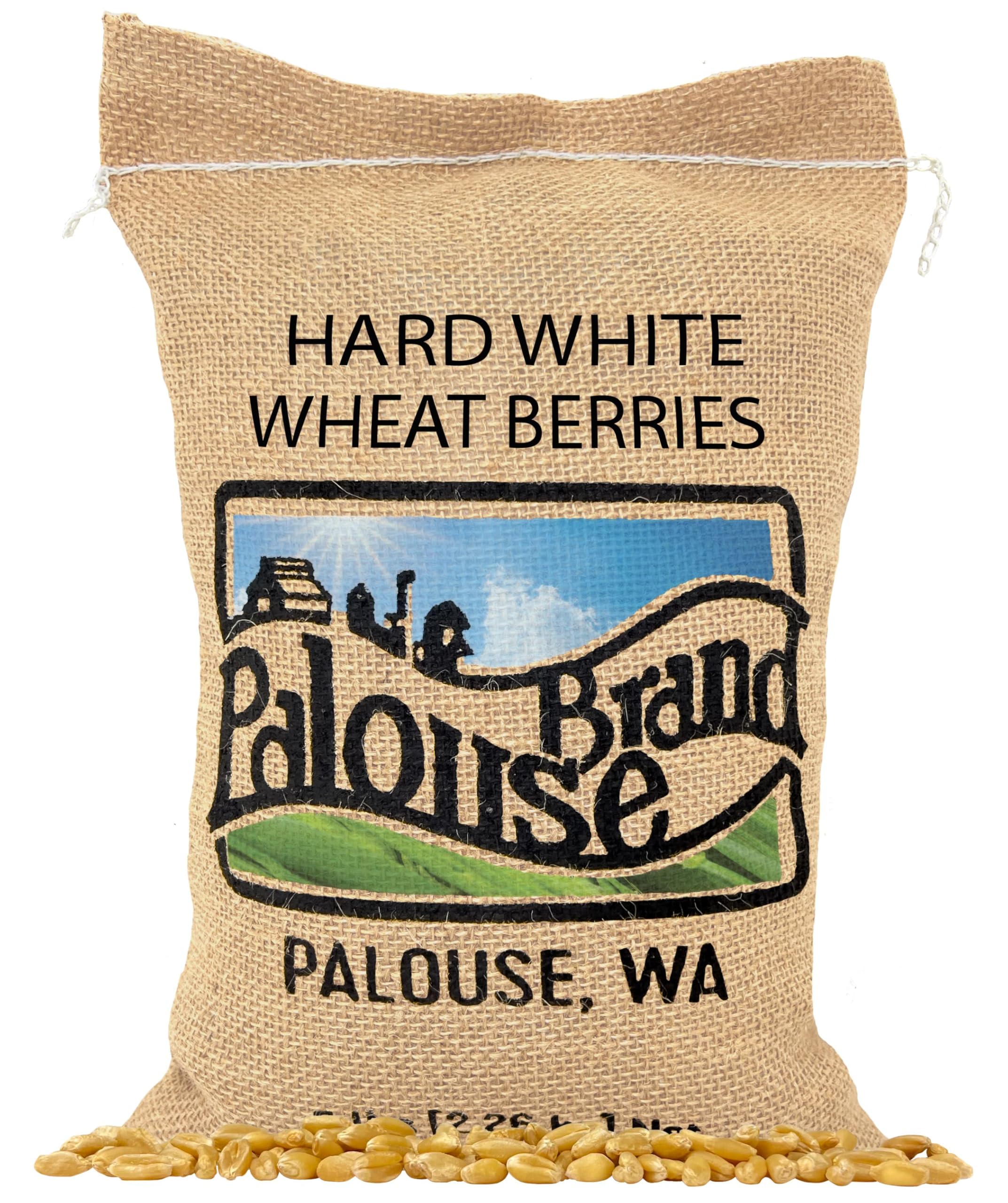 Palouse Brand Certified Glyphosate Residue Free Hard White Wheat Berries | 5 LBS | Family Farmed in Washington State | Non-GMO Project Verified | 100% Non-Irradiated | Kosher