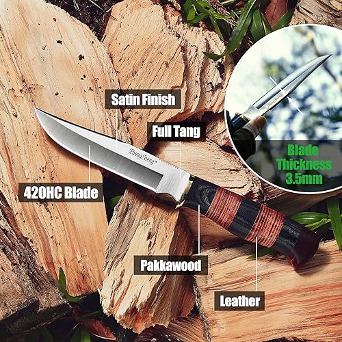 Miniatura 2 de Cuchillo de hoja fija de 6.0 pulgadas, mango ergonómico, cuchillos de supervivencia Bowie con funda de cuero para campamento, senderismo