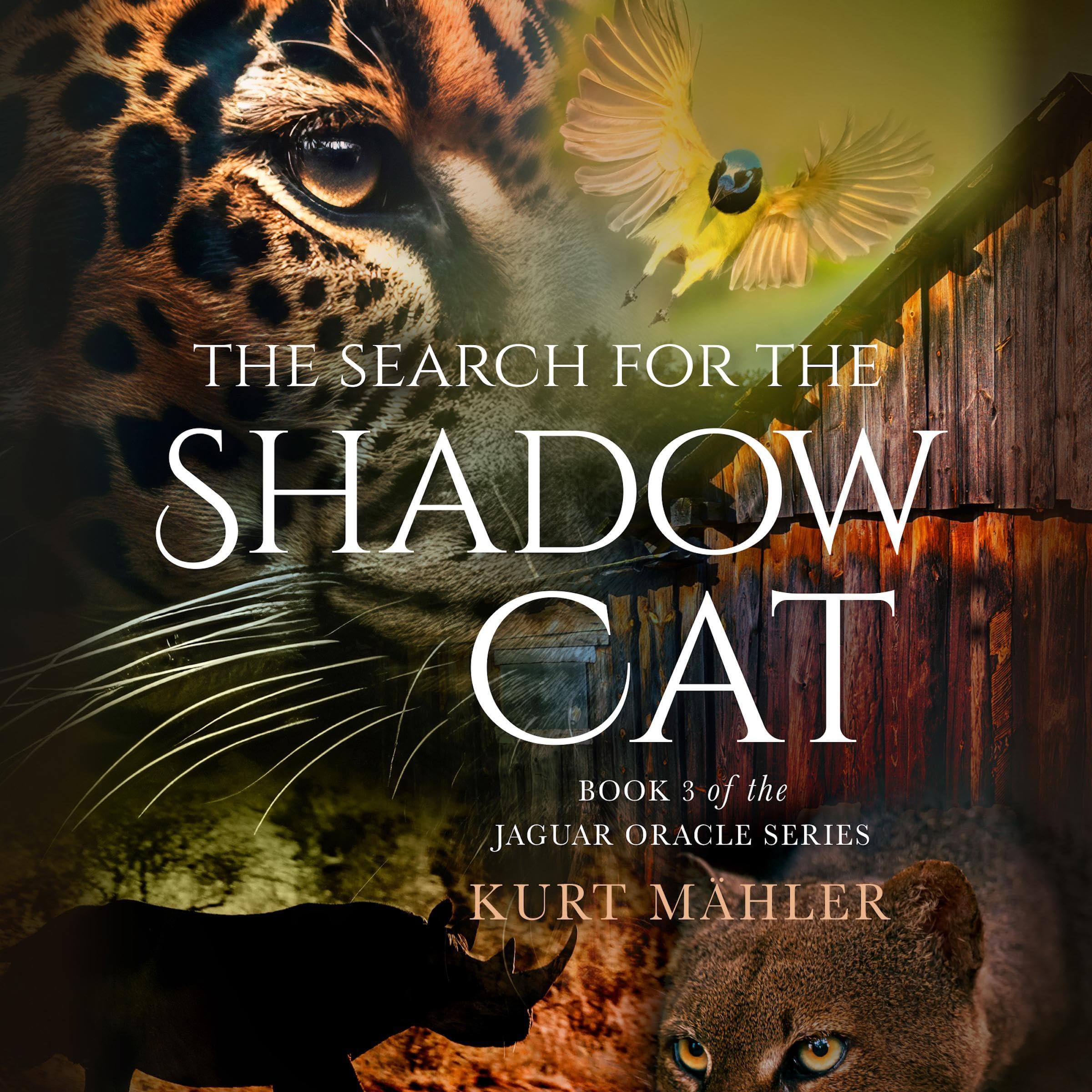 Cover art for The Search for the Shadow Cat