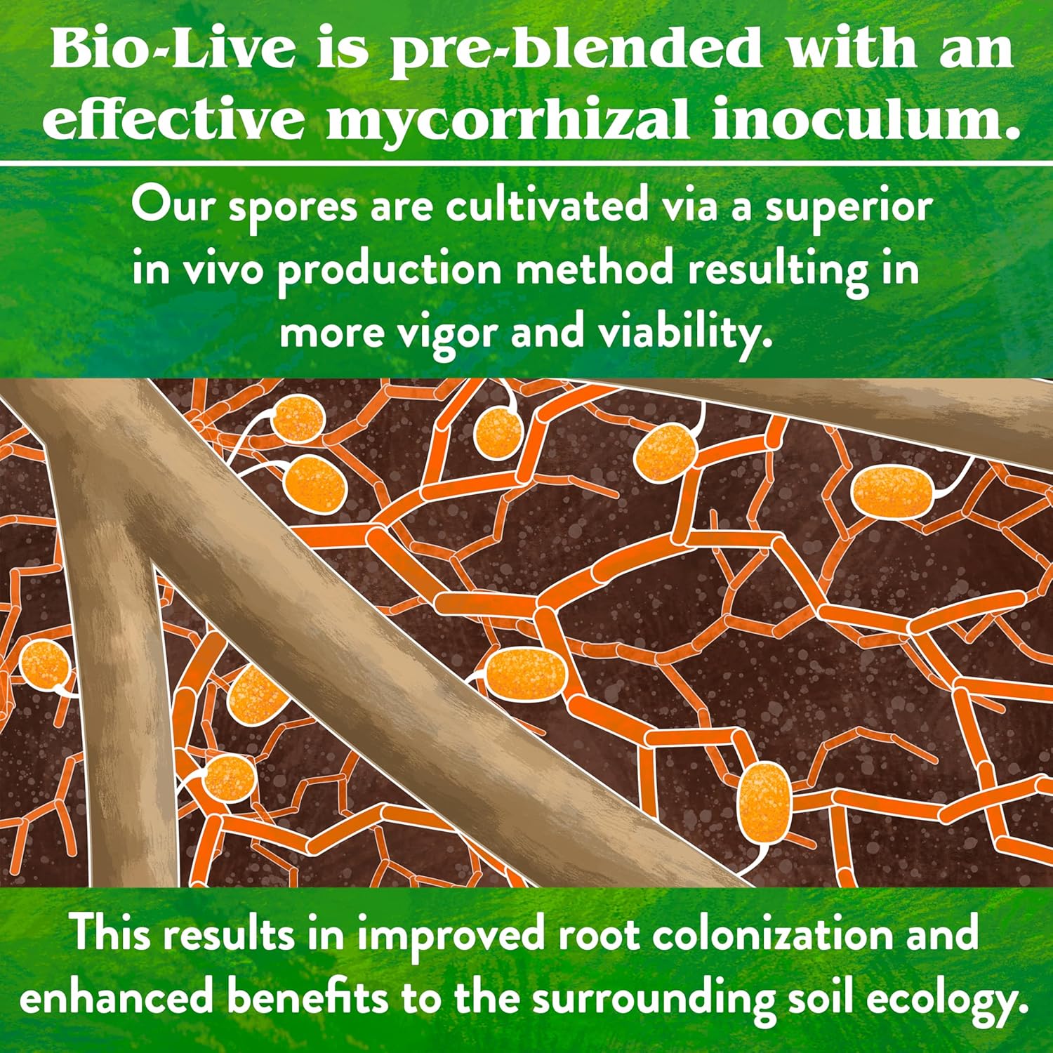 Down To Earth Organic Bio-Live Fertilizer Mix 5-4-2, 5 lb - Image 8