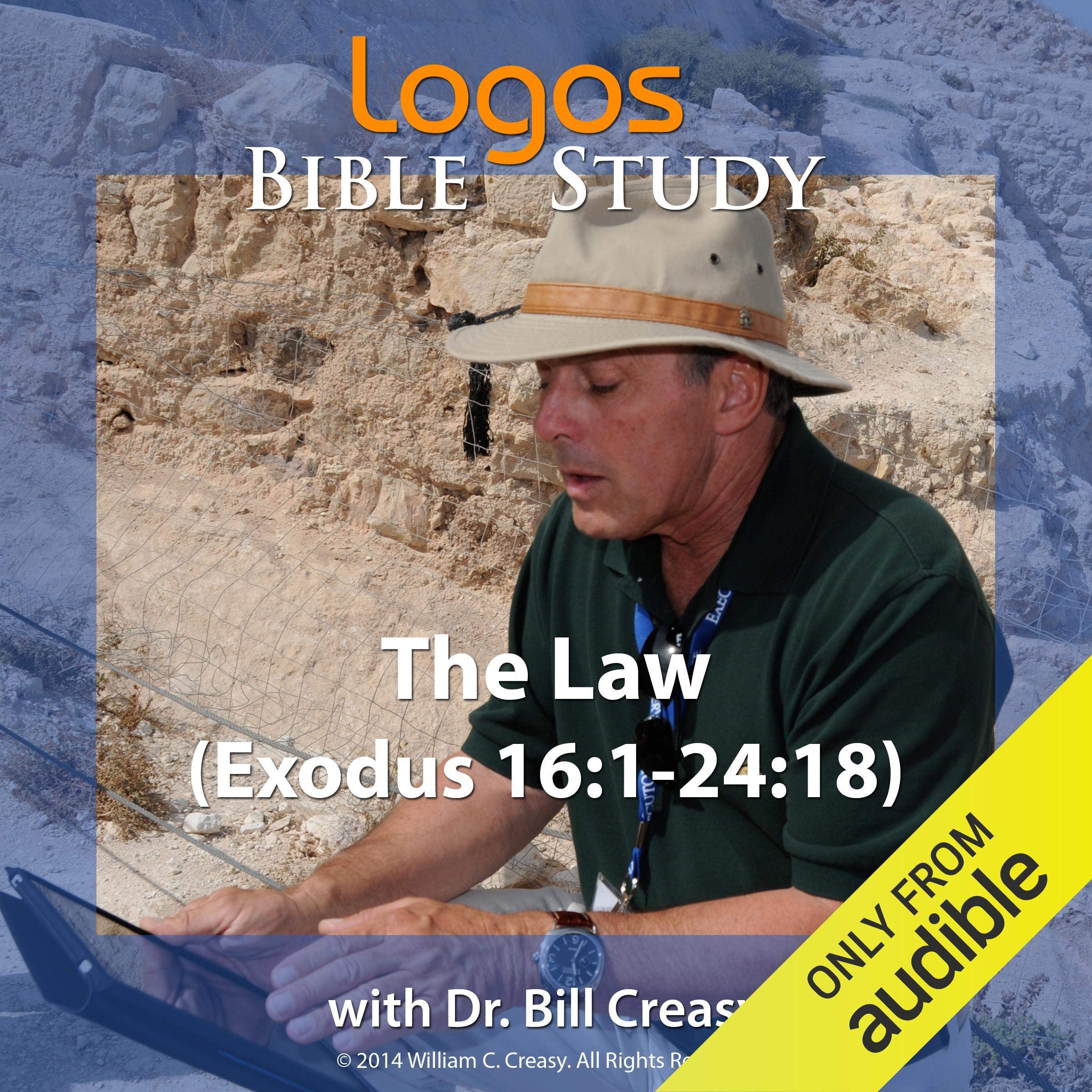 Cover art for The Law (Exodus 16: 1-24: 18)