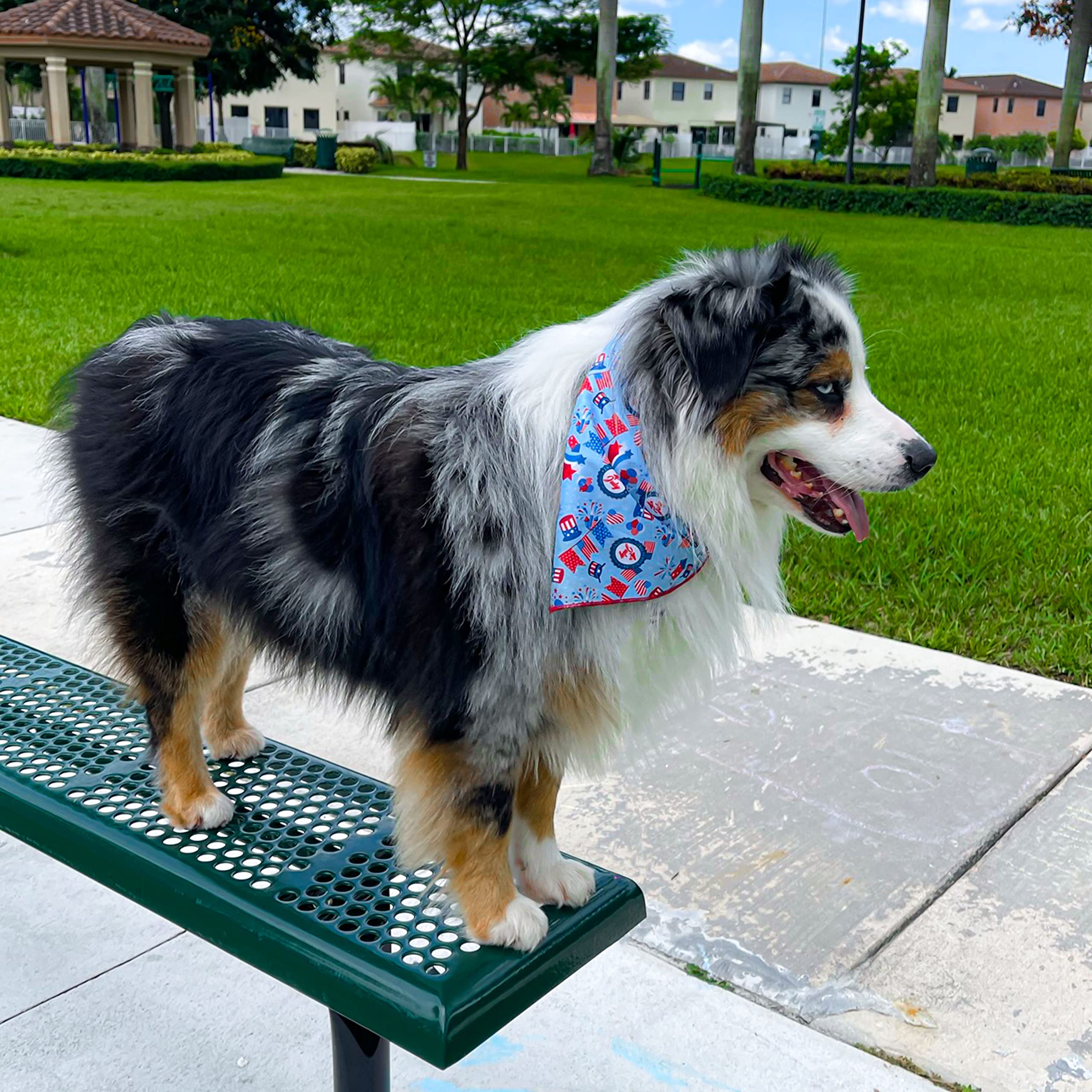 Homlouue Hundehalstücher Mit US-Flagge (2 Stück) - Patriotischer Schal Für Kleine Hunde Zu Feiertagen