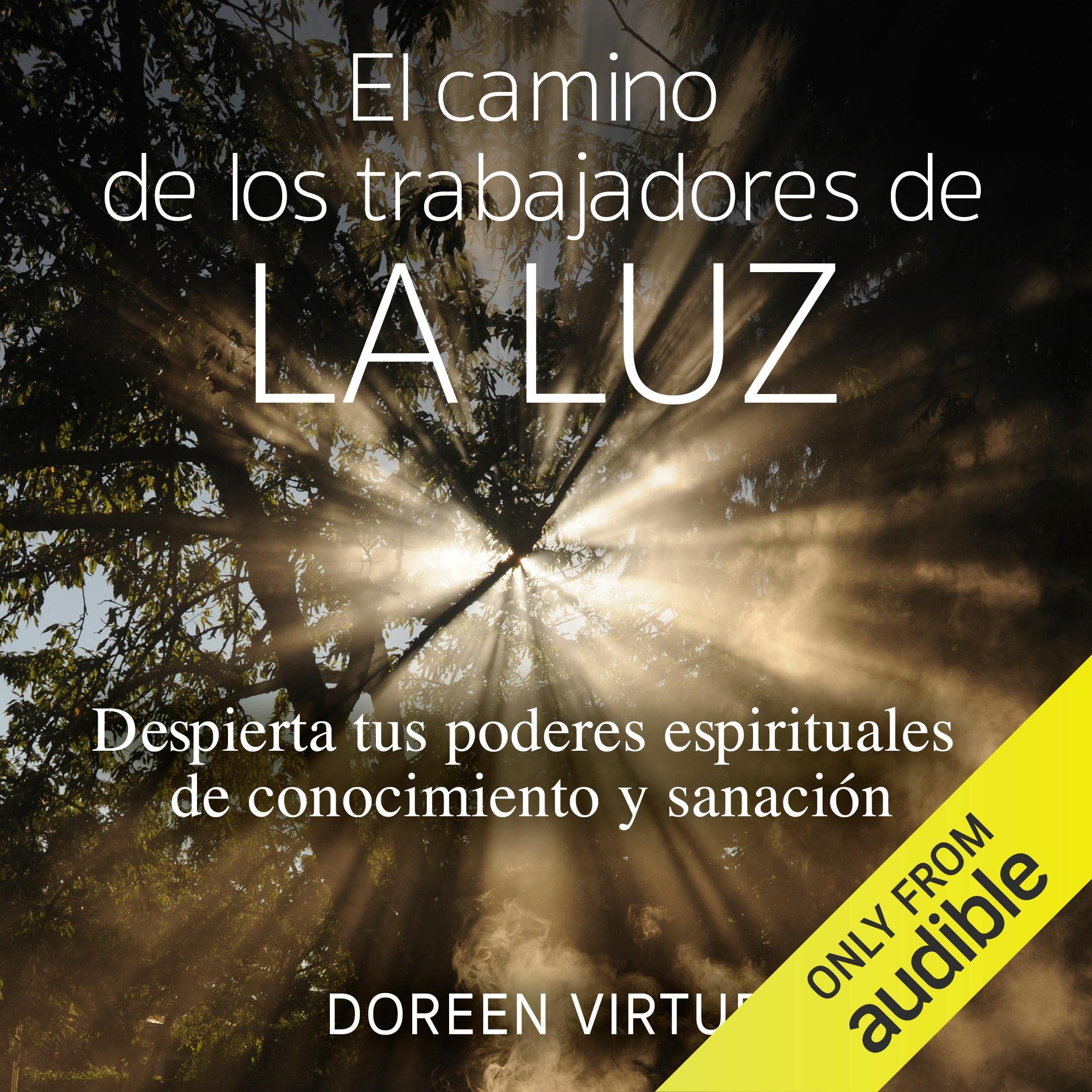 Cover art for El camino de los trabajadores de la luz (Narración en Castellano) [The Path of the Light Workers]