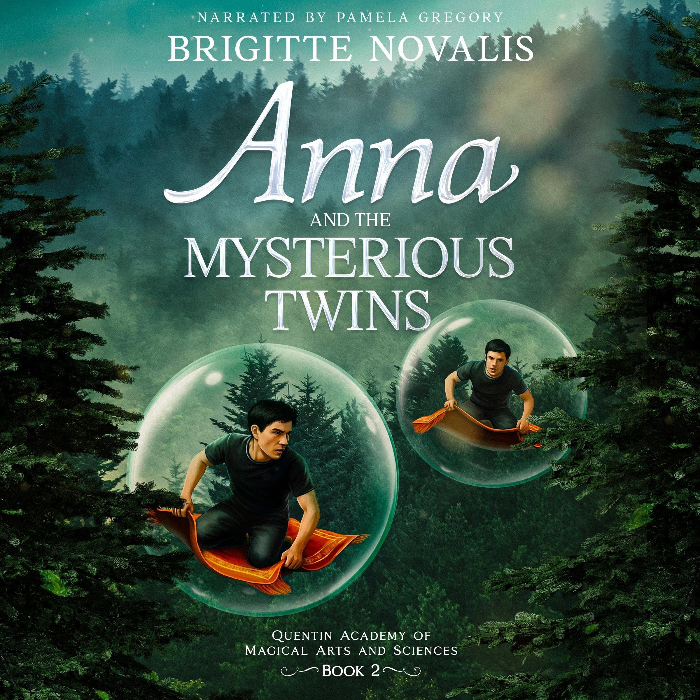 Cover art for Anna and the Mysterious Twins