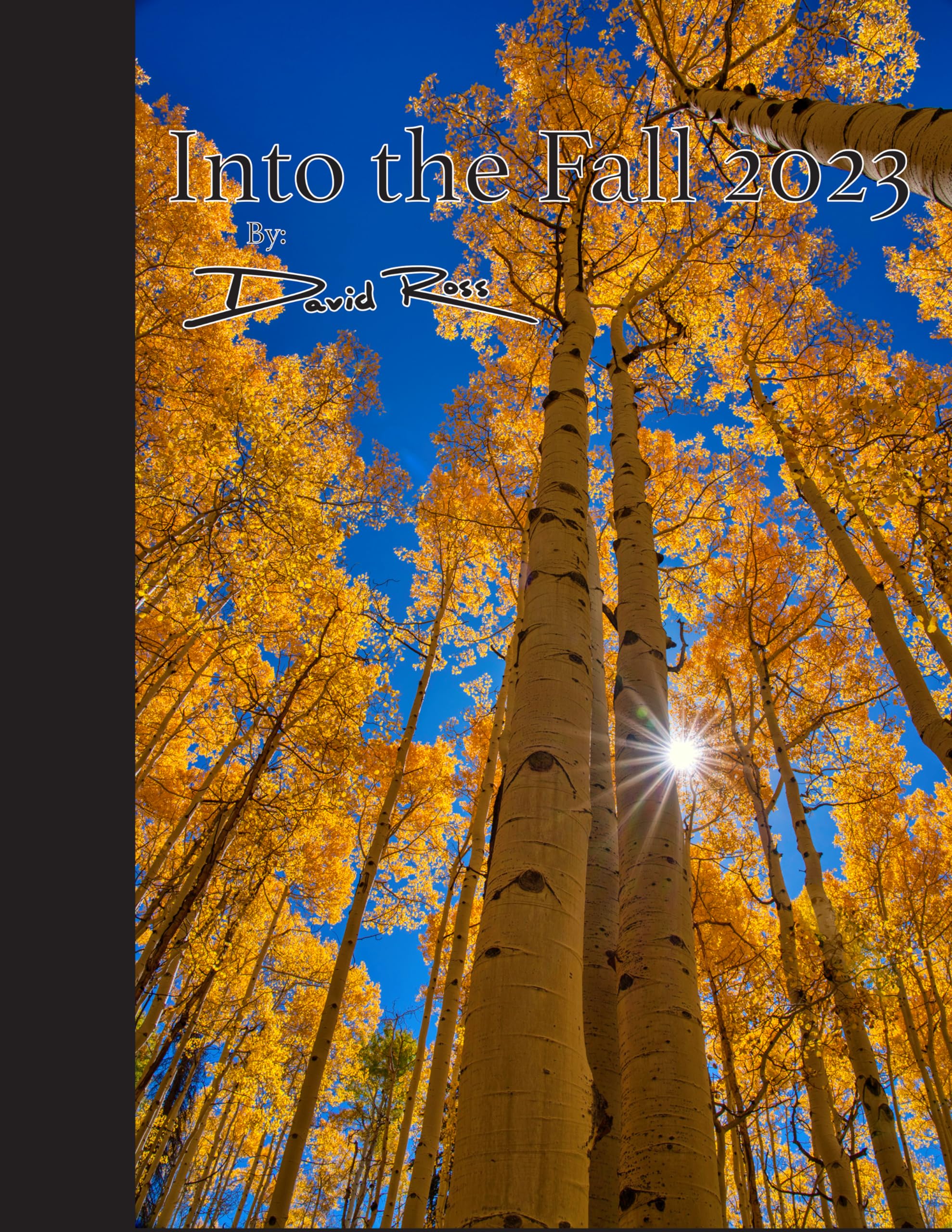 Into the Fall 2023 English Edition livre d'automne collection