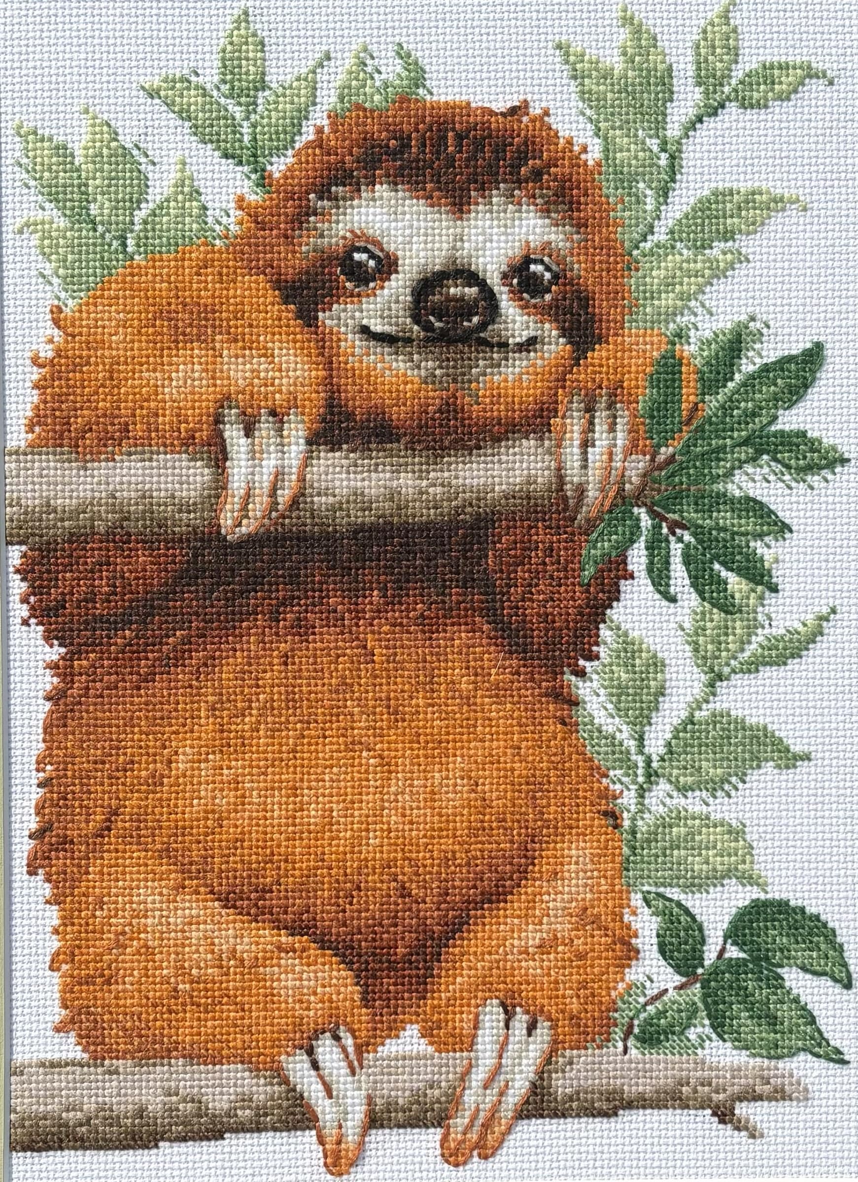 RIOLIS - Bradipo 2213, Punto croce 21x30cm, Punto croce kit da ricamare, Disegni da ricamare, Embroidery kit, Set punto croce, Kit ricamo punto croce
