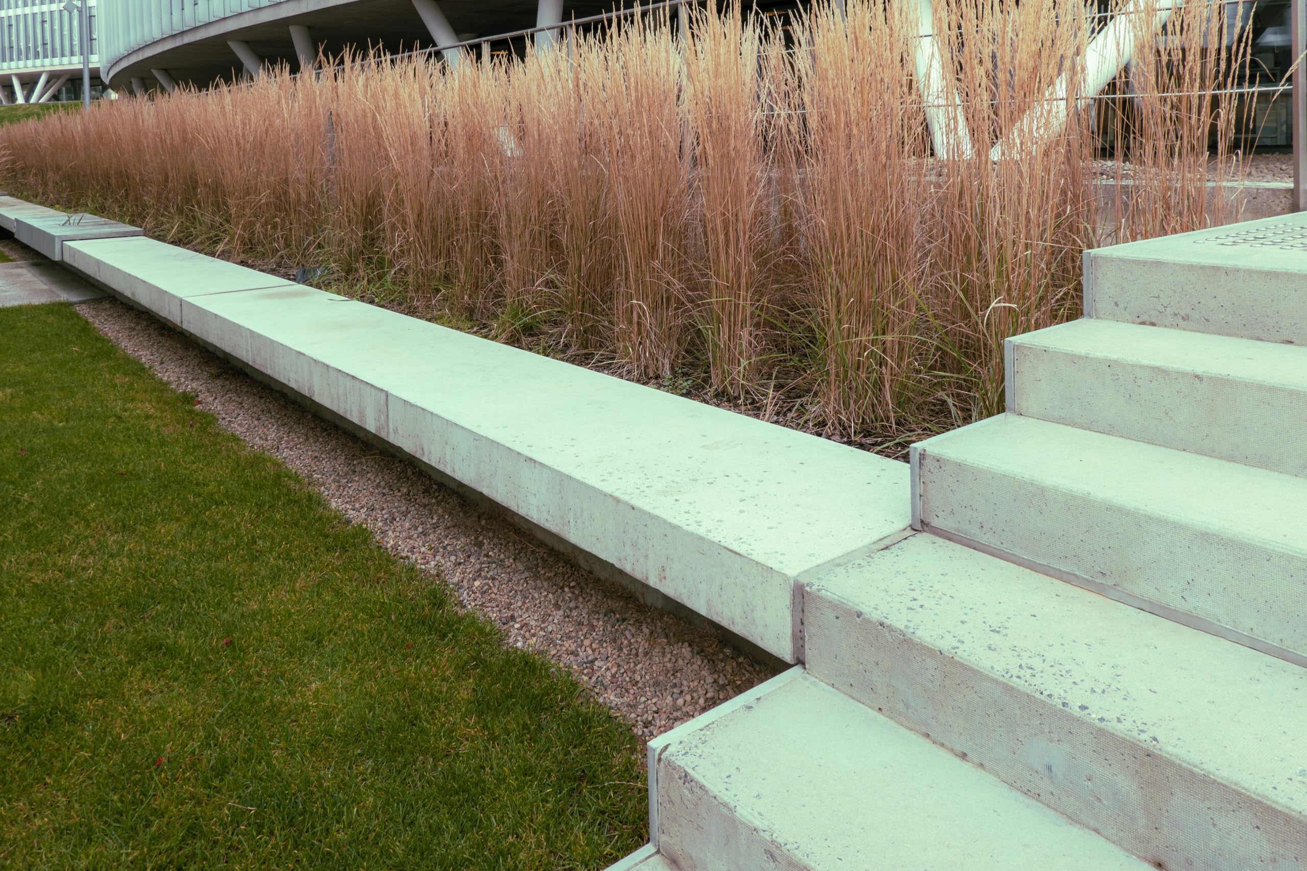 Stauden Gänge 10 x Calamagrostis x acutiflora 'Waldenbusch' Reitgras