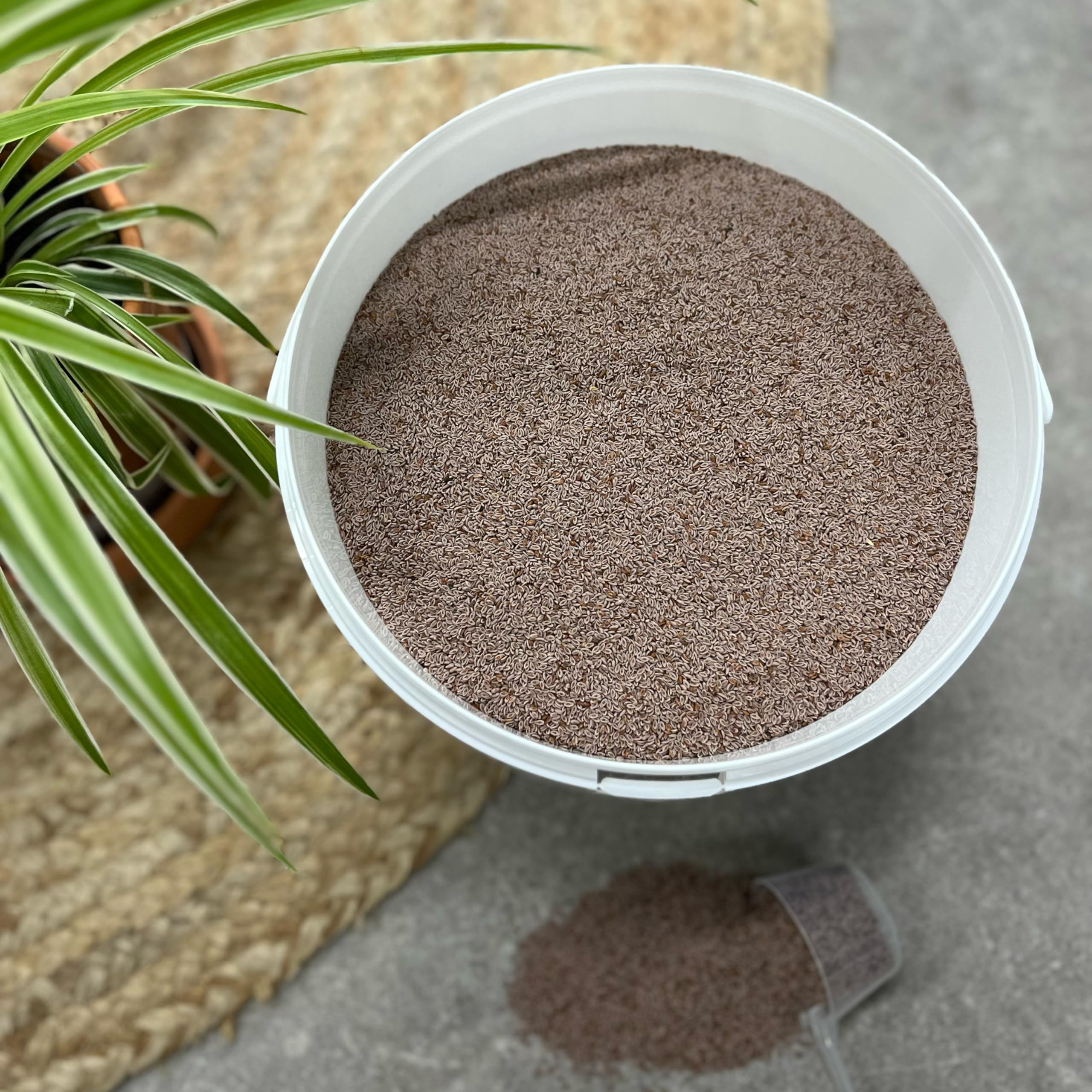 Nasiona pcheł dla koni, wspomagające trawienie i jelita – 5 kg