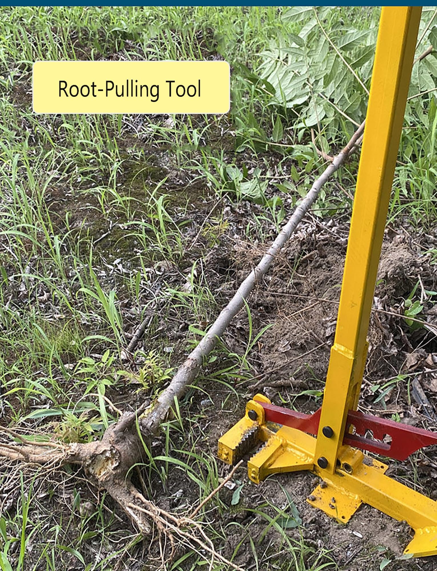 Strumento manuale per rimuovere erbacce per radici profonde, sradicatore per piccoli alberi e arbusti, strumento manuale da giardino con manico lungo, in acciaio resistente