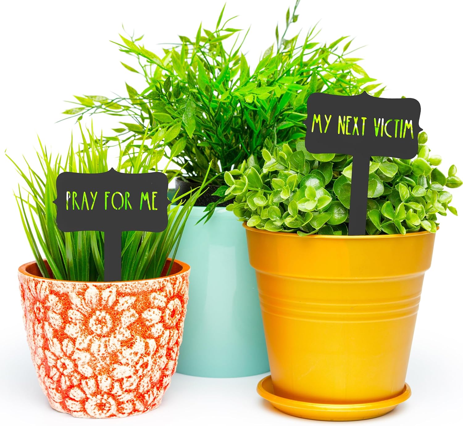 Humorous House Plant Stake - House Plant Markers, Funny Plant Signs for Succulent Flowers Greenery Plants Tags Steel Plant Labels Outdoor Indoor Garden Stakes for Potted Plant - 16 Options (5 Pack)