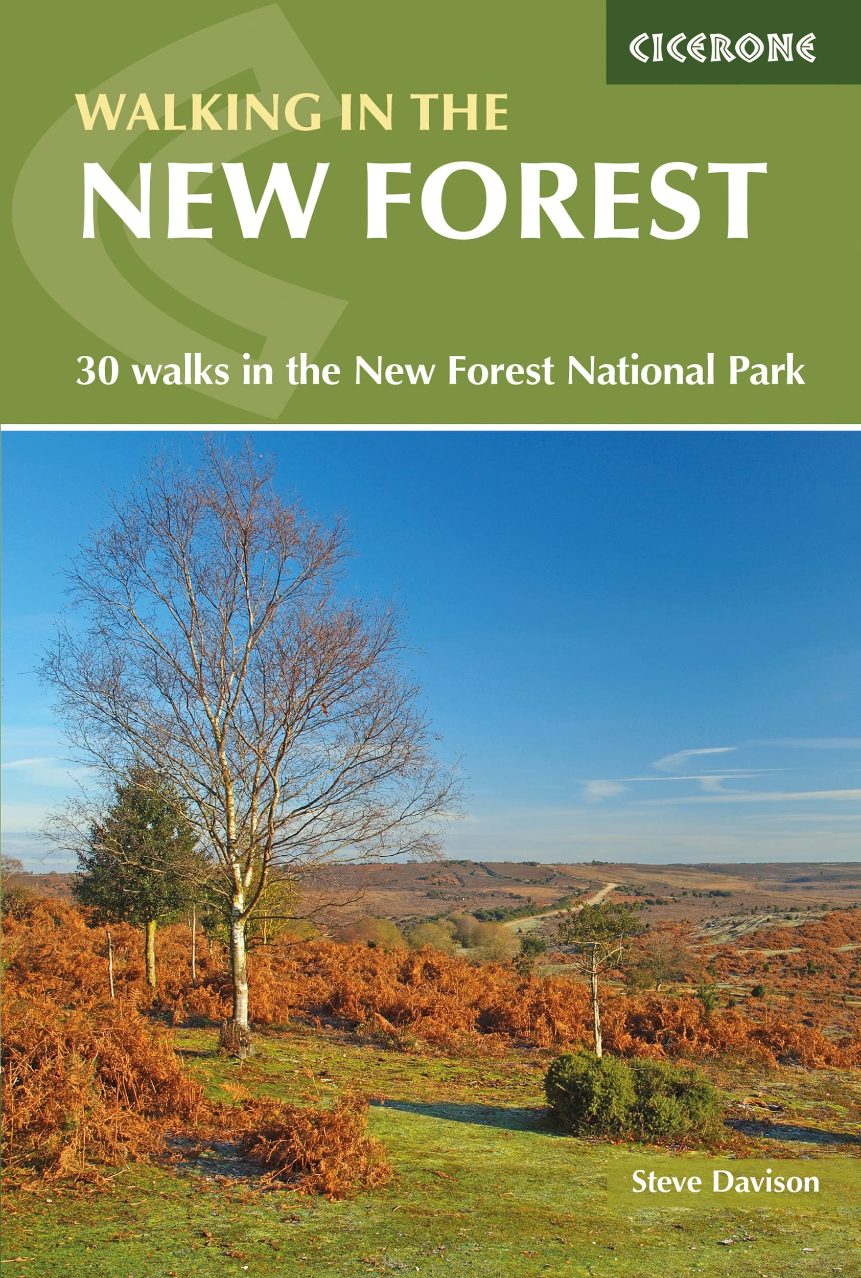 Walking in the New Forest by Steve Davison (Paperback Book)