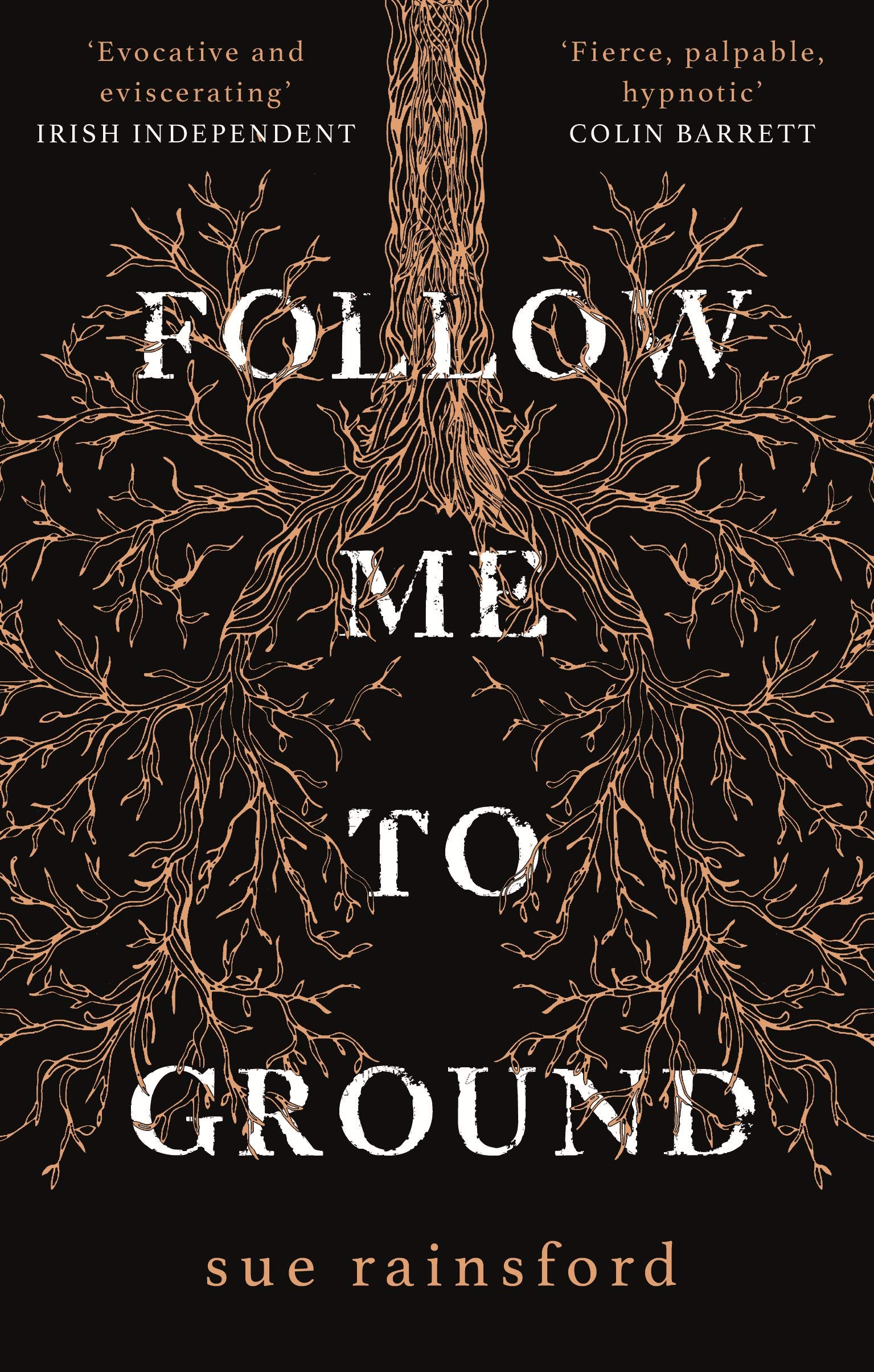 Follow Me To Ground by Sue Rainsford PAPERBACK 9781784164942