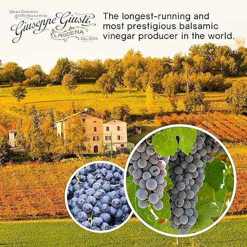 Miniatura 5 de Medalla de plata Giuseppe Giusti Aceto Balsamico di Modena Italia  1 paquete  Vinagre balsámico gourmet envejecido premium de Modena Medaglia
