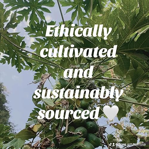 Miniatura 9 de Mascarilla capilar con infusión de ozono, cuidado natural del cabello brasileño con aceites botánicos, reconstrucción intensa, activación del