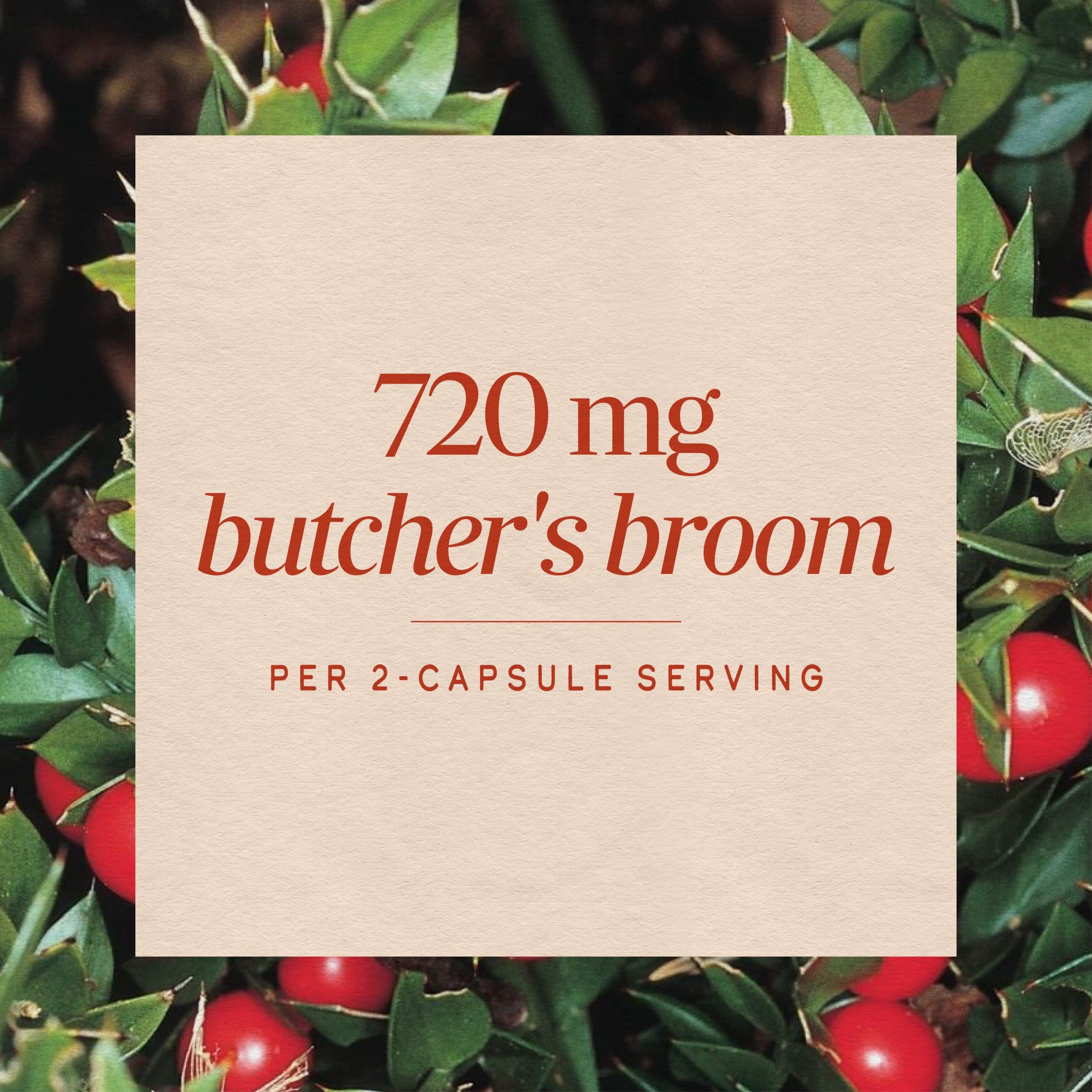 Nature's Way Butcher's Broom Root, Vegan, Non-GMO Project Verified, 100 ct — Amazon image 4