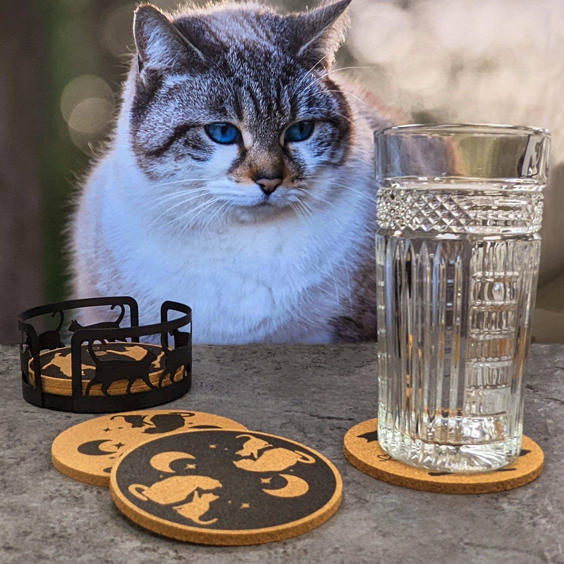 Amazon｜Mango Steam 猫コルクコースター 6枚セット 装飾コルク