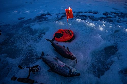 Vista 20 de Frabill Consejos de pesca en hielo
