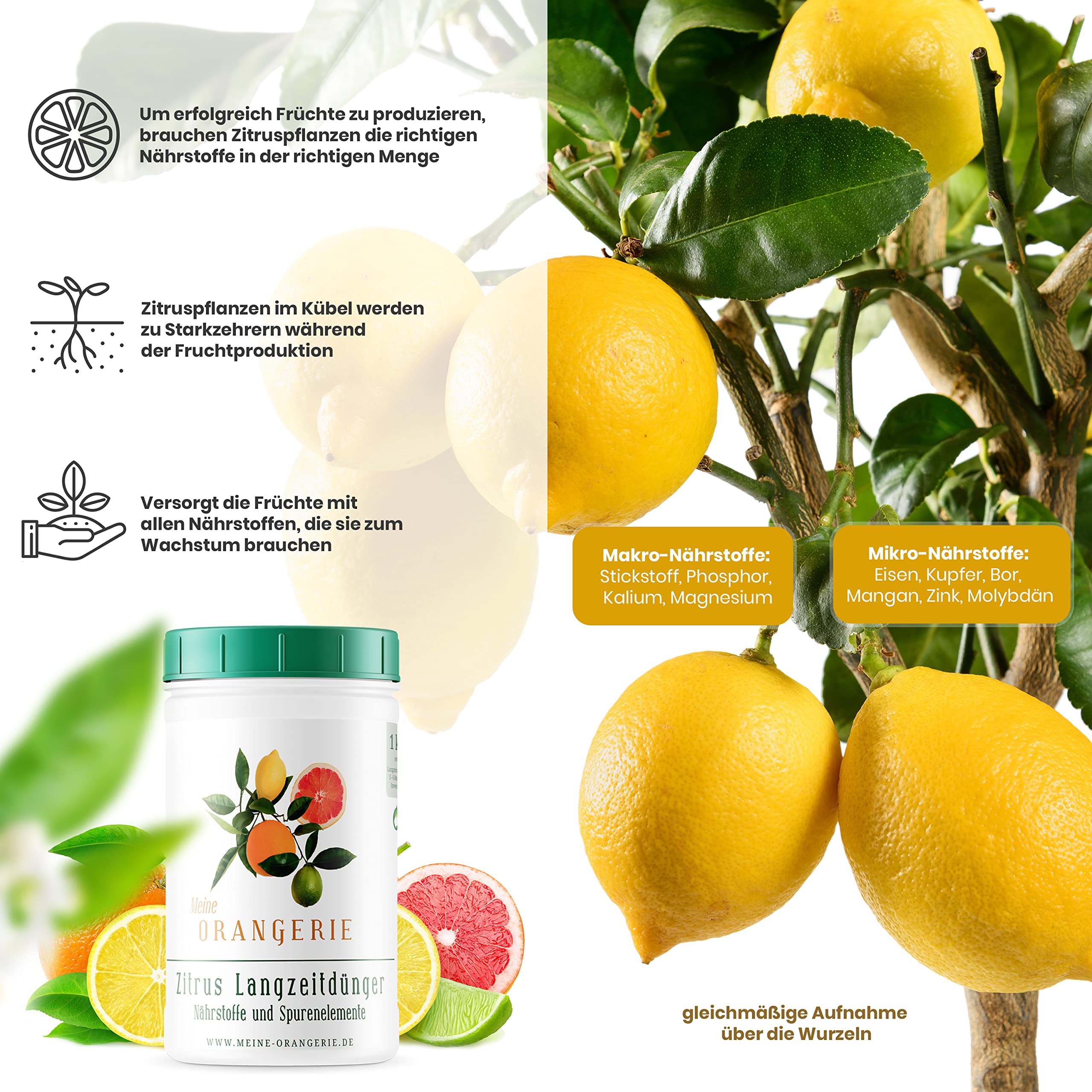 Meine Orangerie - Langzeit-Zitrusdünger [1kg] - Profi Zitruspflanzendünger - Gleichmäßige Langzeit-Wirkung für 6 Monate - Langzeit Zitrusdünger für Citruspflanzen und mediterrane Pflanzen
