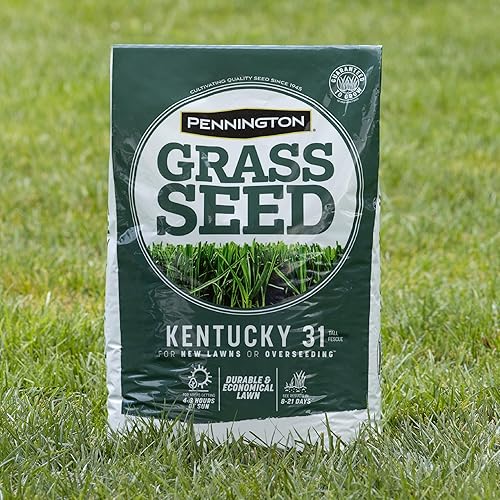 Vista 6 de Pennington Kentucky 31 Tall Fescue Penkoted Grass Seed 40 lbs