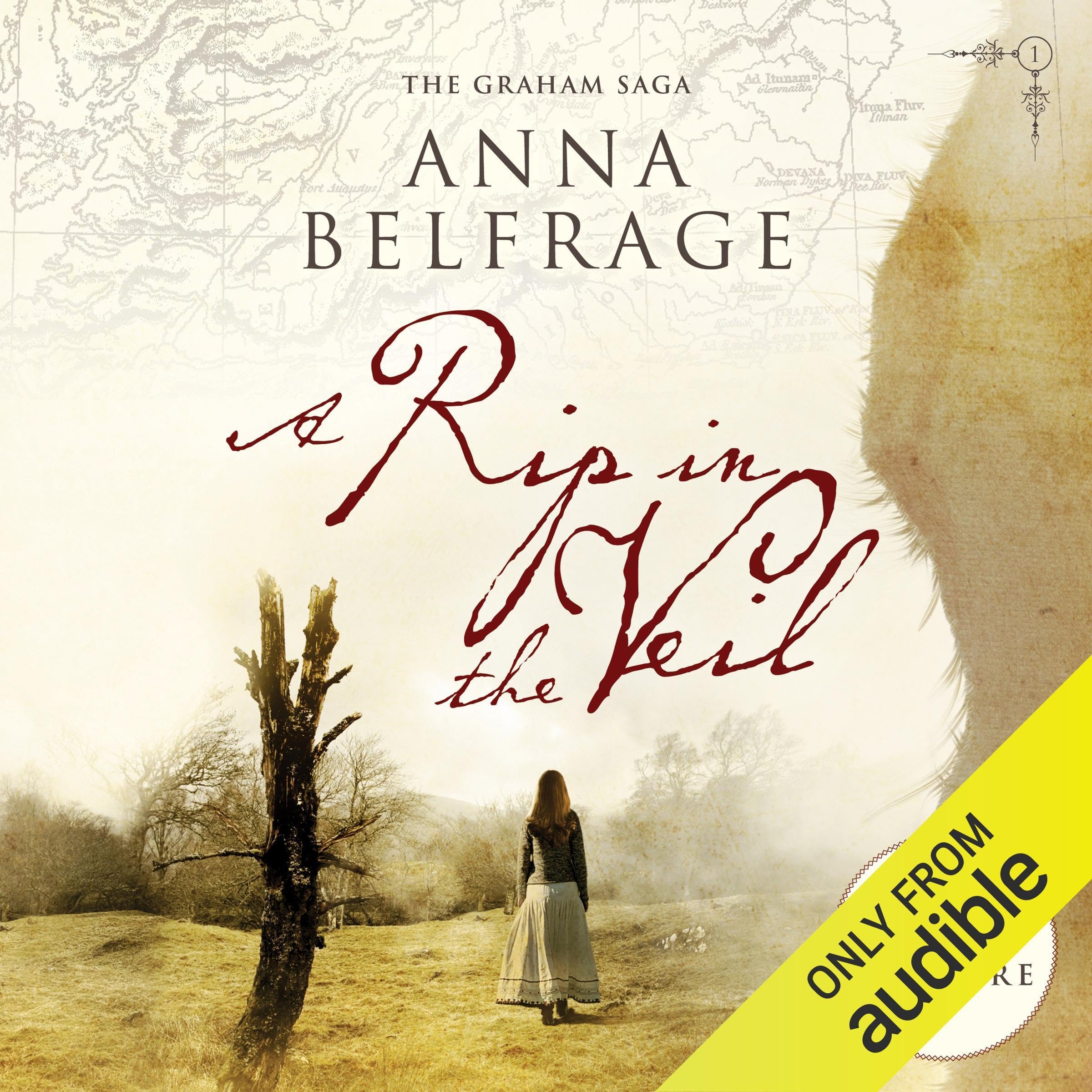 Cover art for A Rip in the Veil