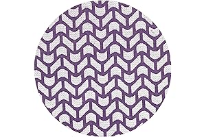 Festool 5 Inch Sanding Discs - Premium Hook and Loop Sanding Discs Pack of 50