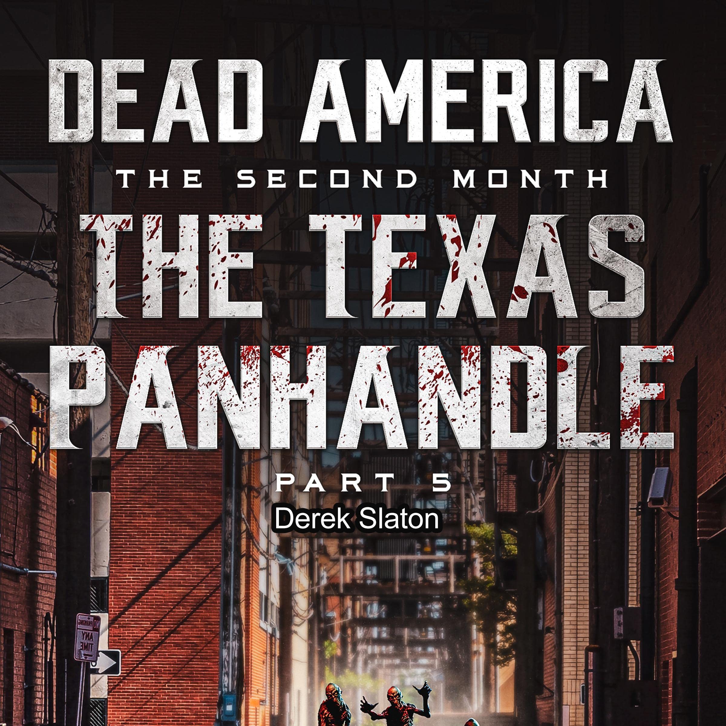 Cover art for Dead America, The Texas Panhandle, Pt. 5