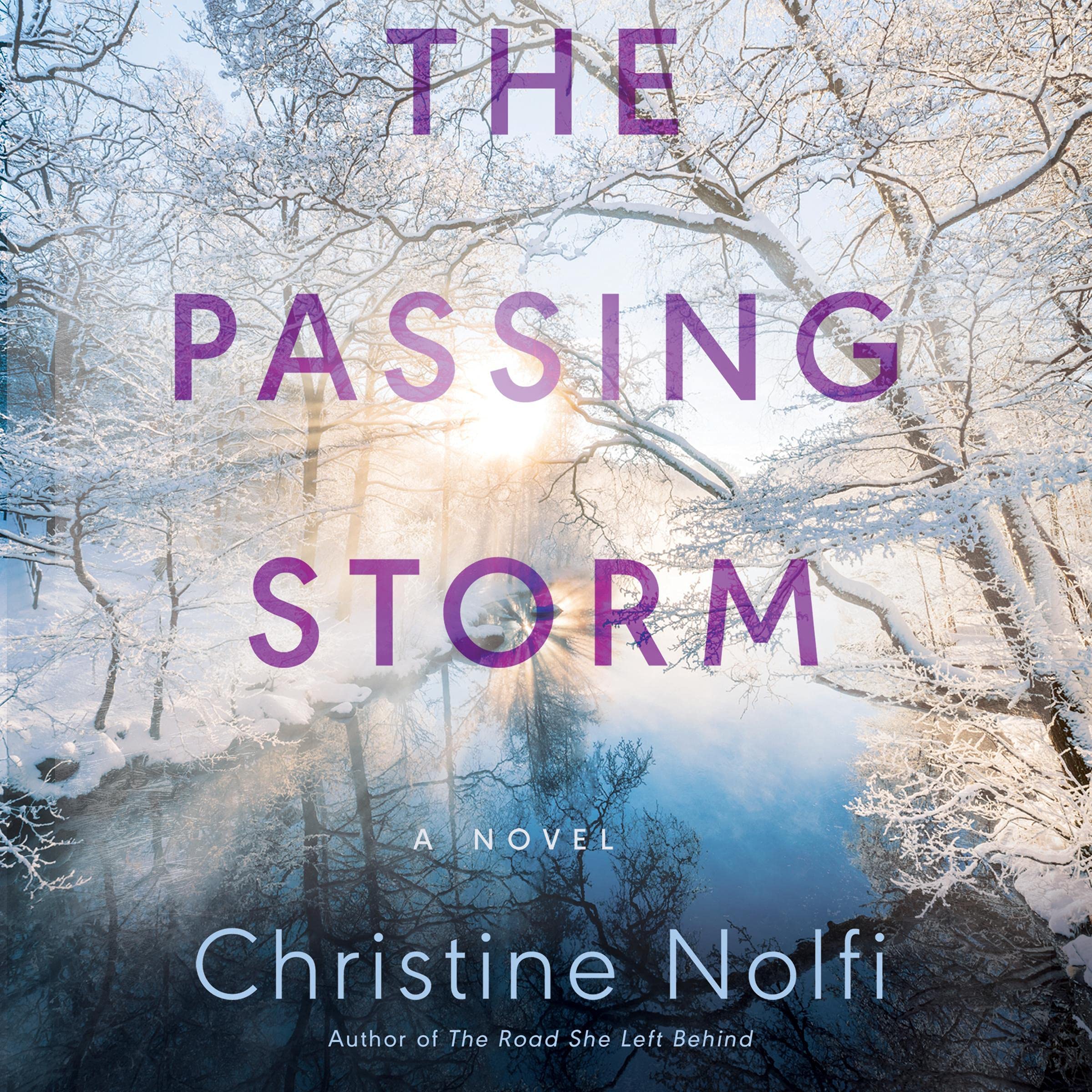 Cover art for The Passing Storm
