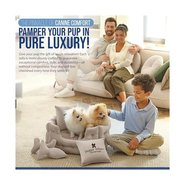   Luxury-Dog-Beds-for-Small-Dogs-and-Cats-Extra-Small-Dog-Bed-with-Removable-Washable-Cover-Fancy-Pet-Bed-Premium-Dog-Couch-Bed-Non-Slip-Pet-Sofa-XS-Puppy-Bed