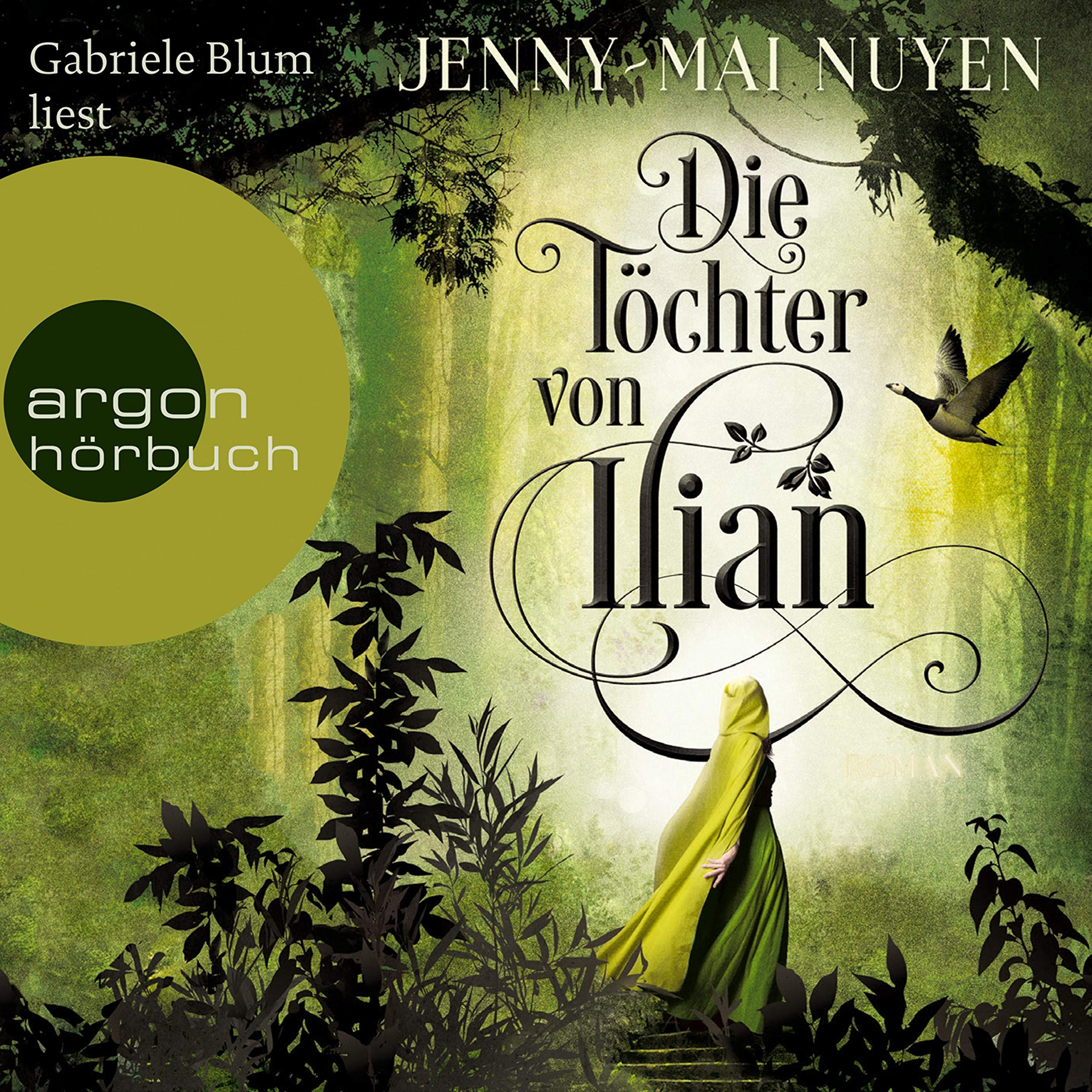 Cover art for Die Töchter von Ilian