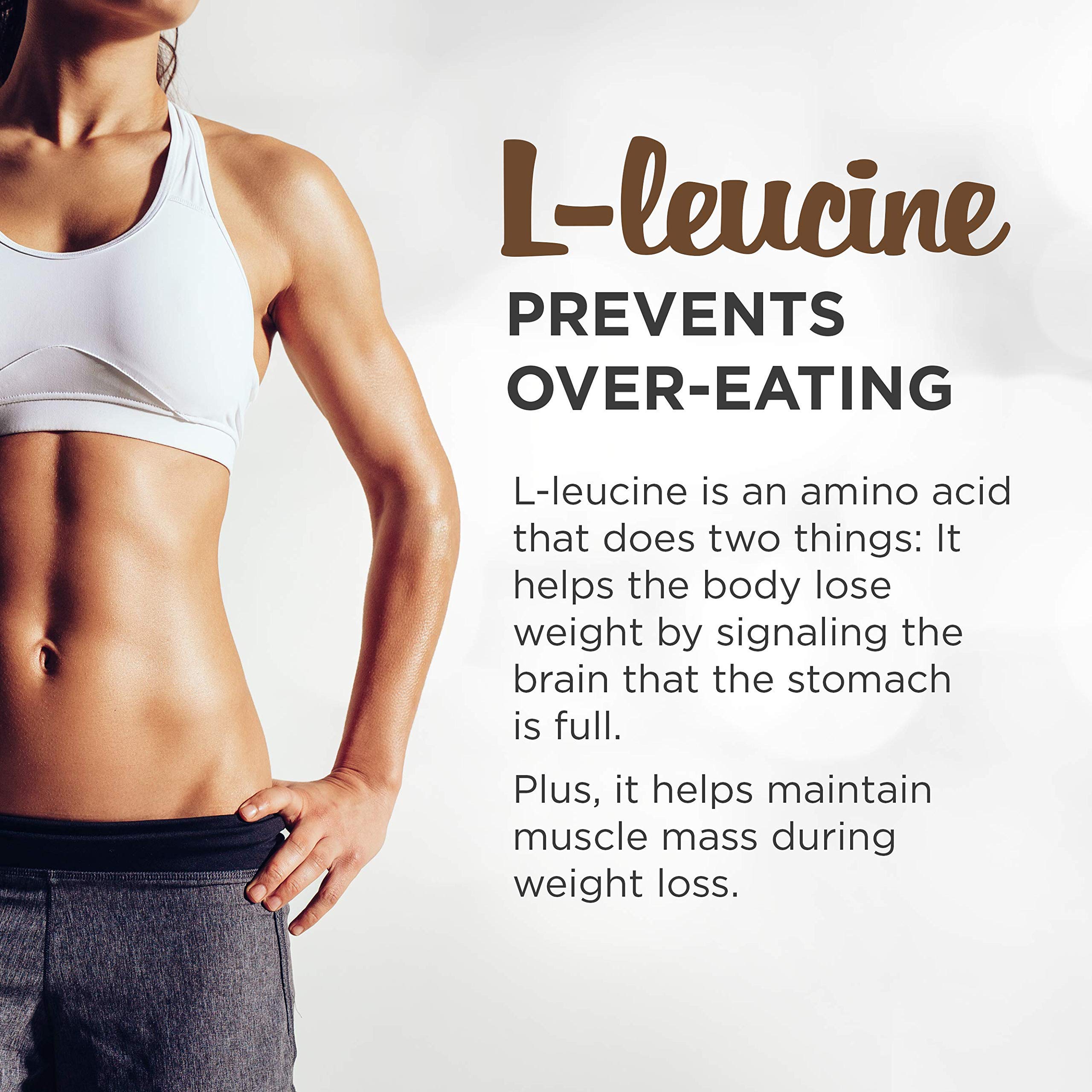 Primal Labs SmashIt Nutrient Infused Low Carb Protein Powder to Help