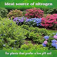 Vista 5 de Down to Earth - Fertilizante natural de semillas de algodón 6-2-1, 20 libras