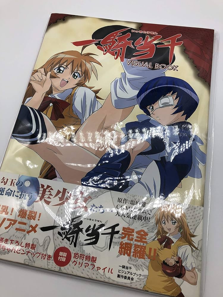 一騎当千ビジュアルブック |本 | 通販 | Amazon