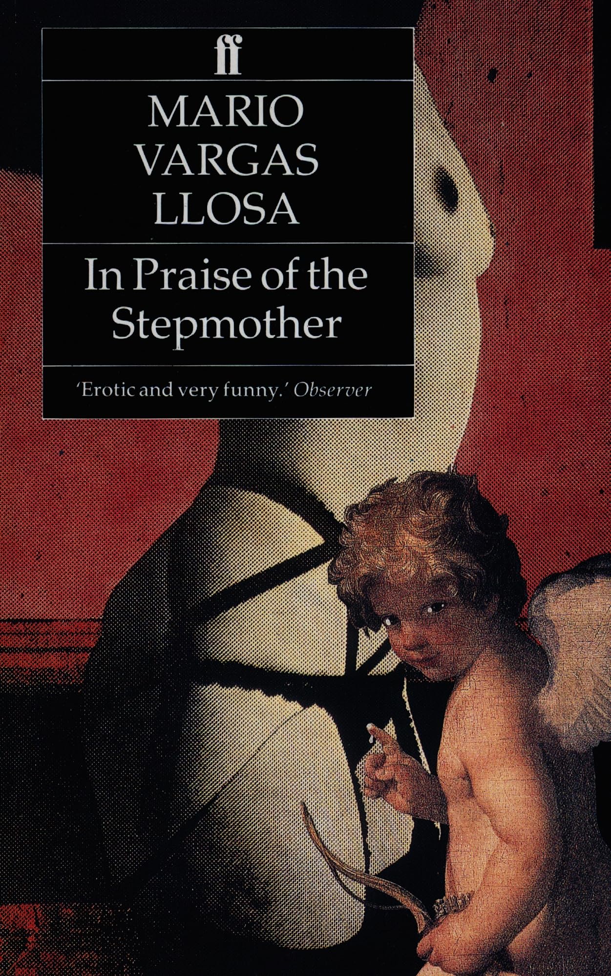 In Praise of the Stepmother.by Llosa  New 9780571141357 Fast Free Shipping**