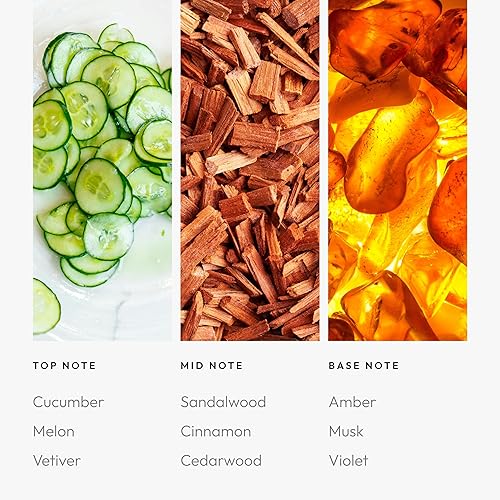 Vista 471 de Aroma360 - Mezcla de aceites aromáticos My Way Inspirado en hoteles para difusores de aceites esenciales de lujo Aceite difusor de aroma