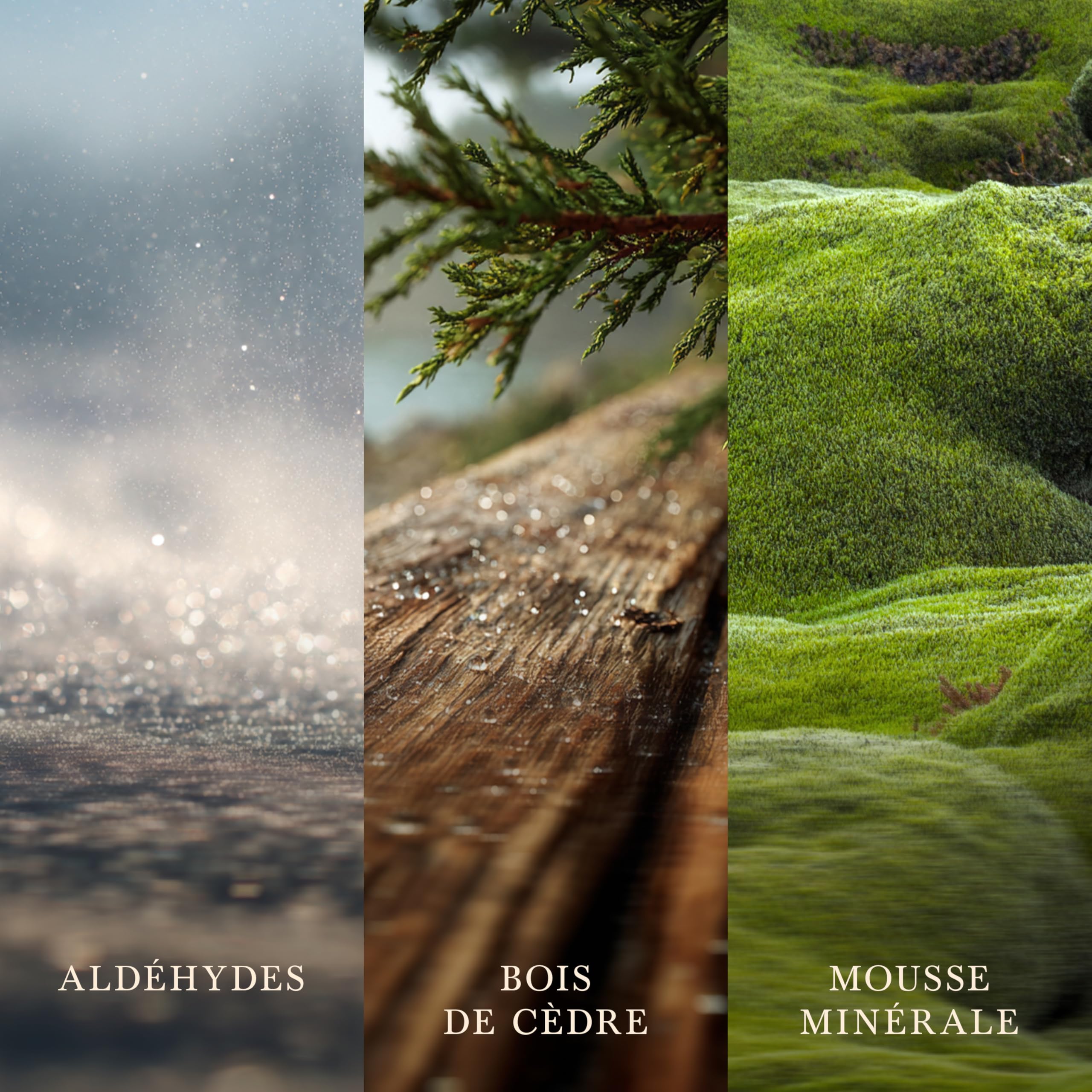 WoodWick Bougie parfumée | Grande bougie sablier | Brume du lac | Cadeaux parfaits pour femmes