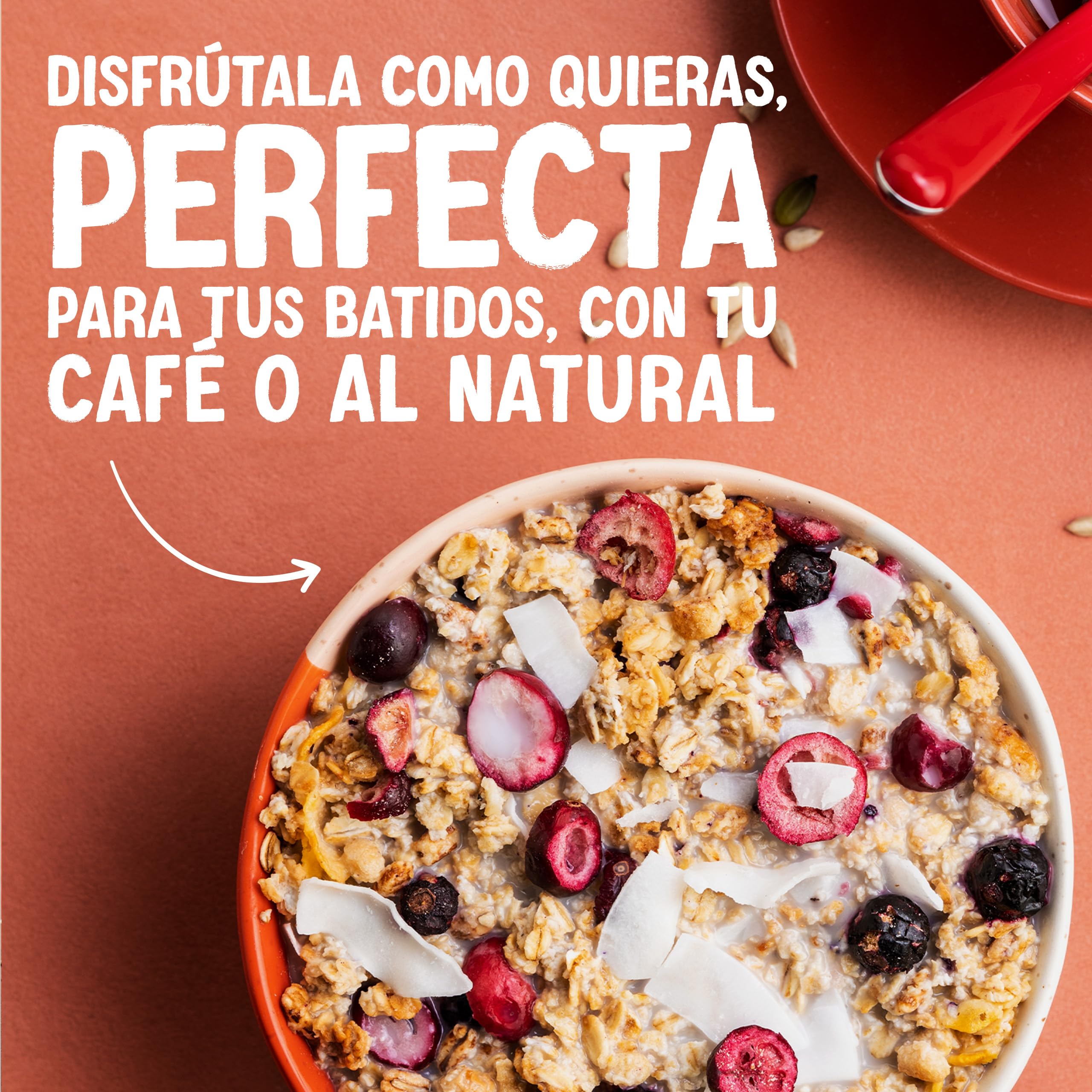 Alpro Bebida Vegetal de Coco sin Azúcar 8x1L
