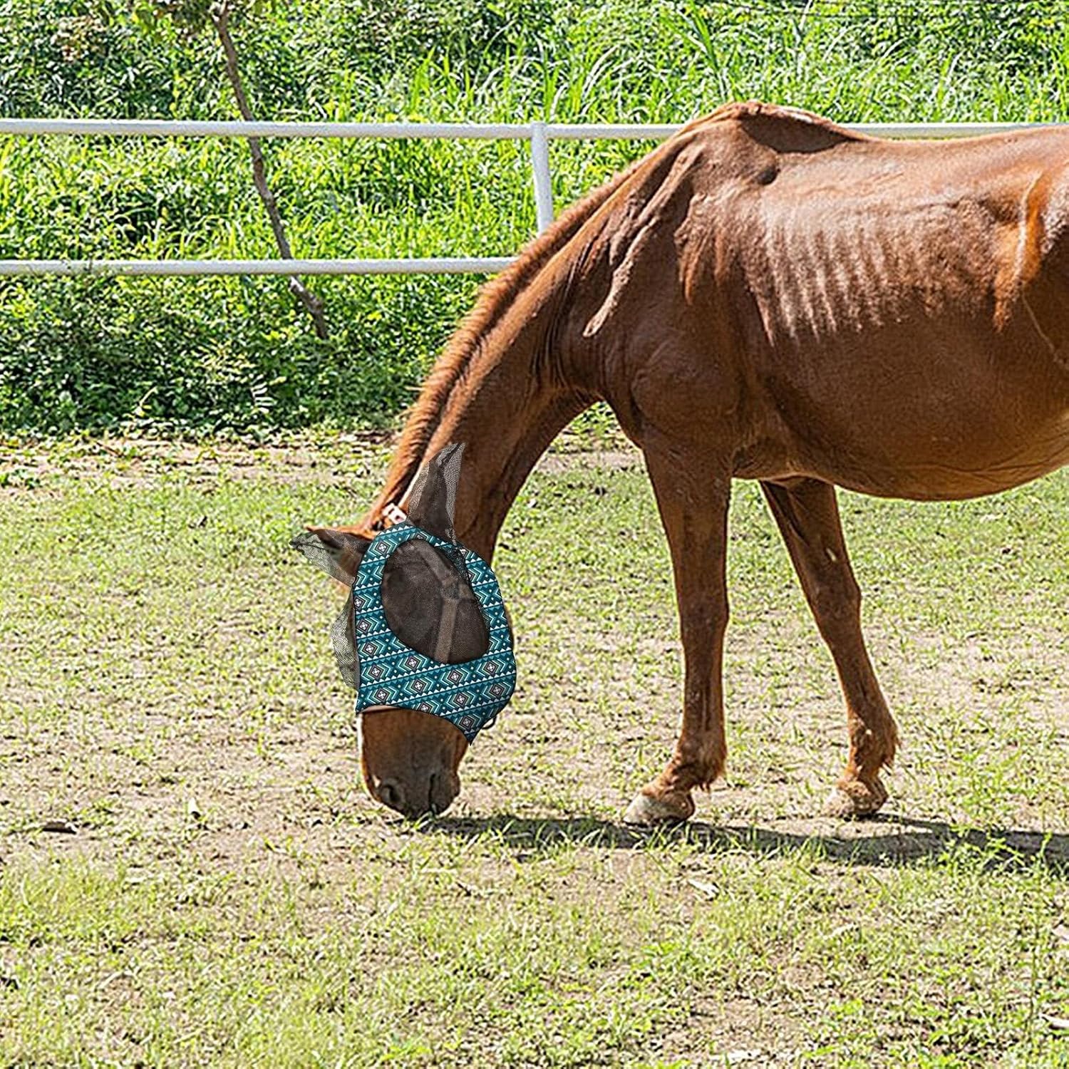 Horse Masque with Ears Large Eyes Breathable Fly Cover for Horses Adjustable Equestrian Equipment for Horse(L)