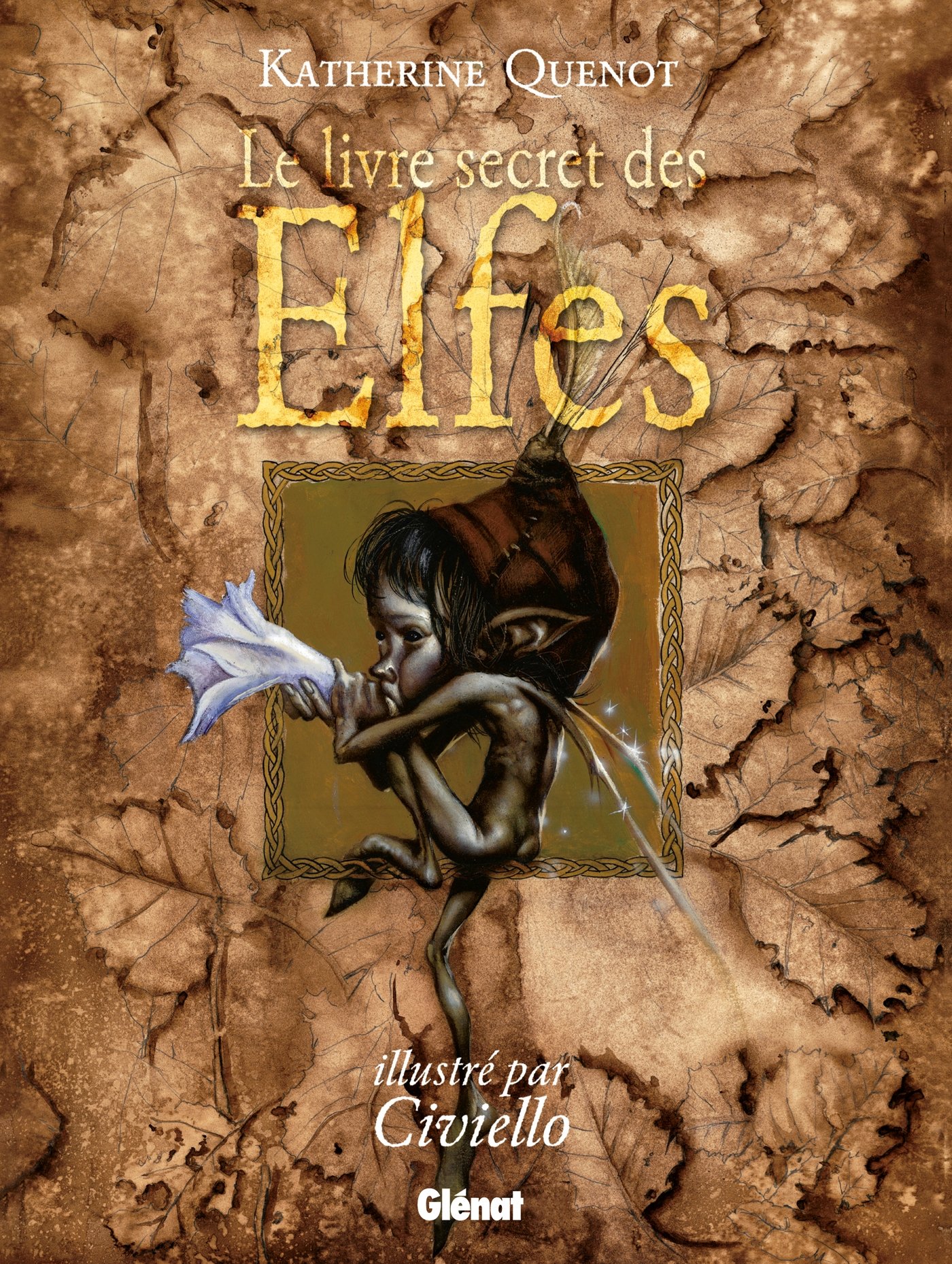 Le Livre secret des elfes beau livre de collection aux finitions d'art