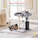 Made4Pets Poste d'éraflure de chat avec grand perchoir & Brosse auto-groomère pour chats d'intérieur, petite tour de l'arbre de chat avec sisal Cat Scratcher Post & Plaquette / 2 Jouet de boules, 6-in-1 pour les chatons, Gris