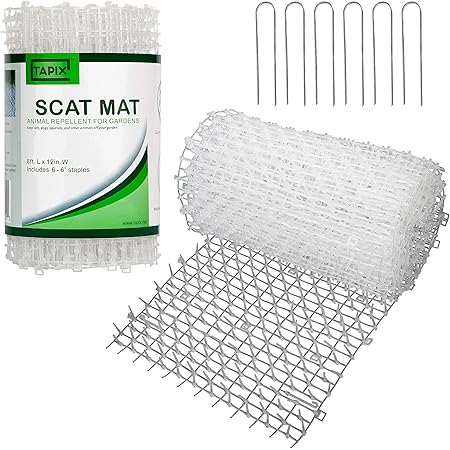 cat scat mat lowes