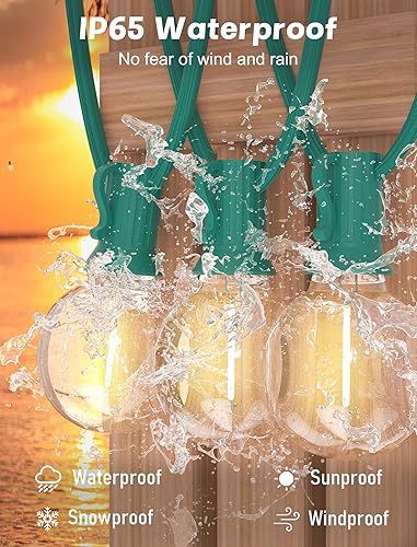 Miniatura 3 de Tira de luces LED de 25 pies para exteriores, impermeables, inastillables, G40, con 25 bombillas LED, tira de luces colgantes regulables, luces de